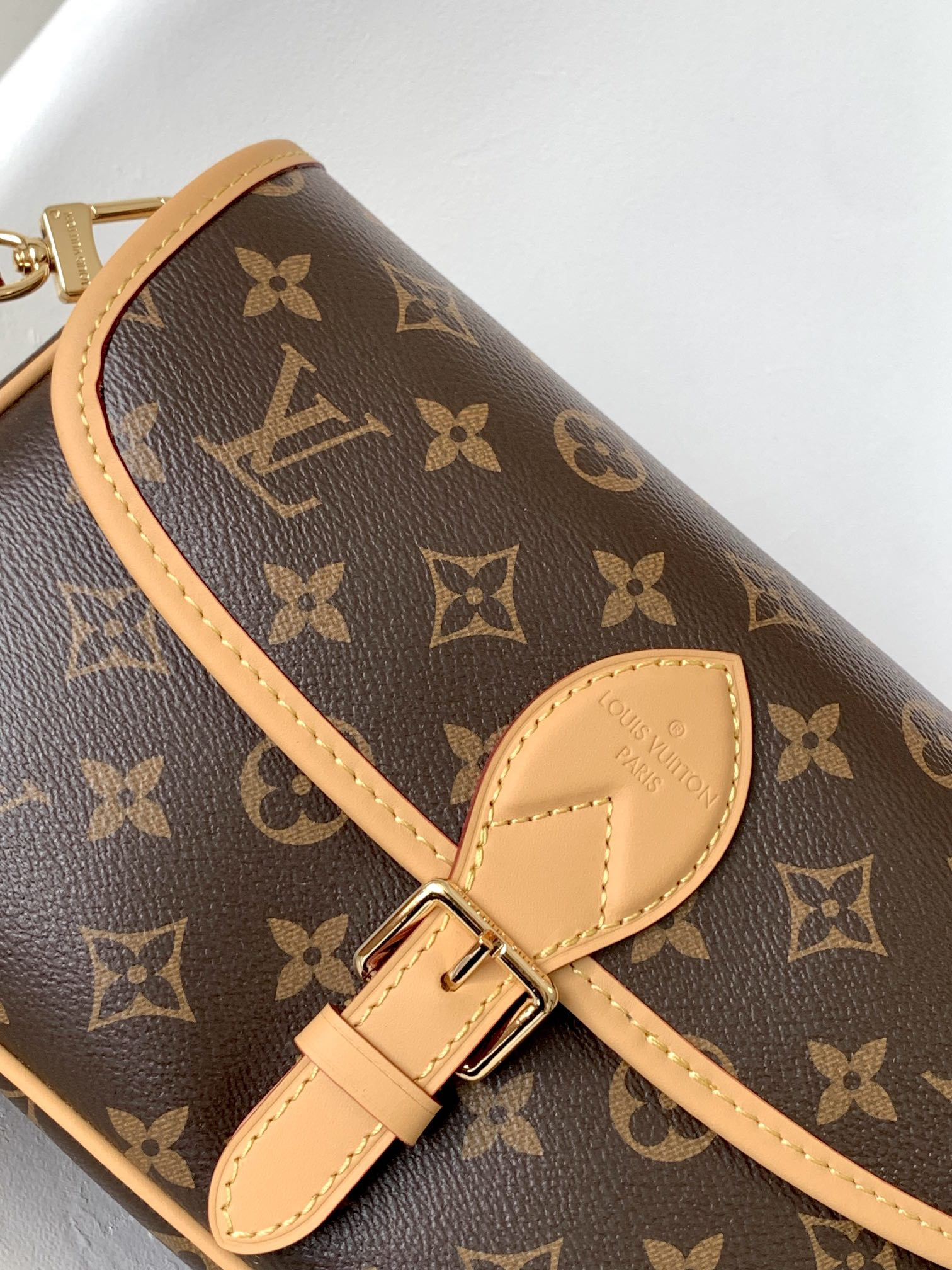 Louis Vuitton Diane Monogram Handbag - Image 5