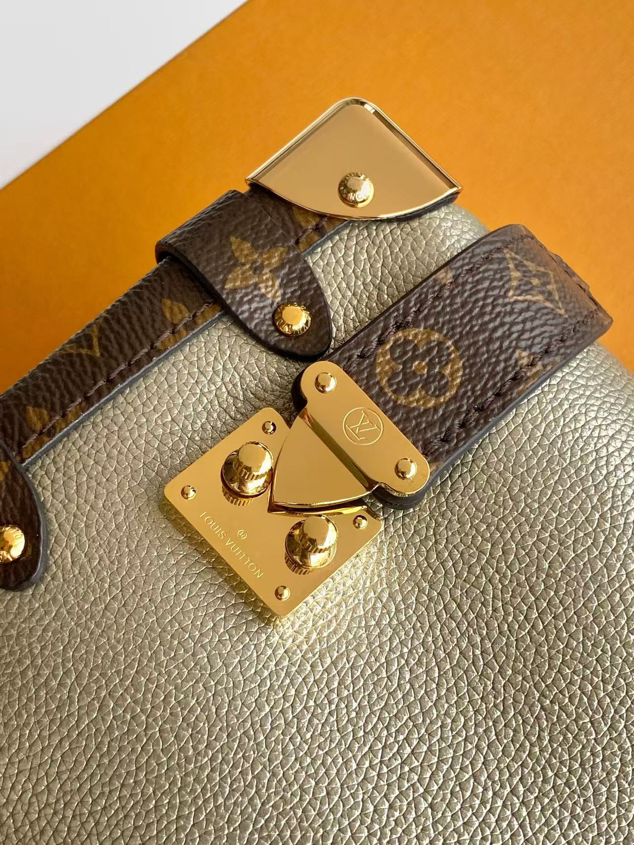 Louis Vuitton Side Trunk MM Leather Crossbody Bag - Image 5