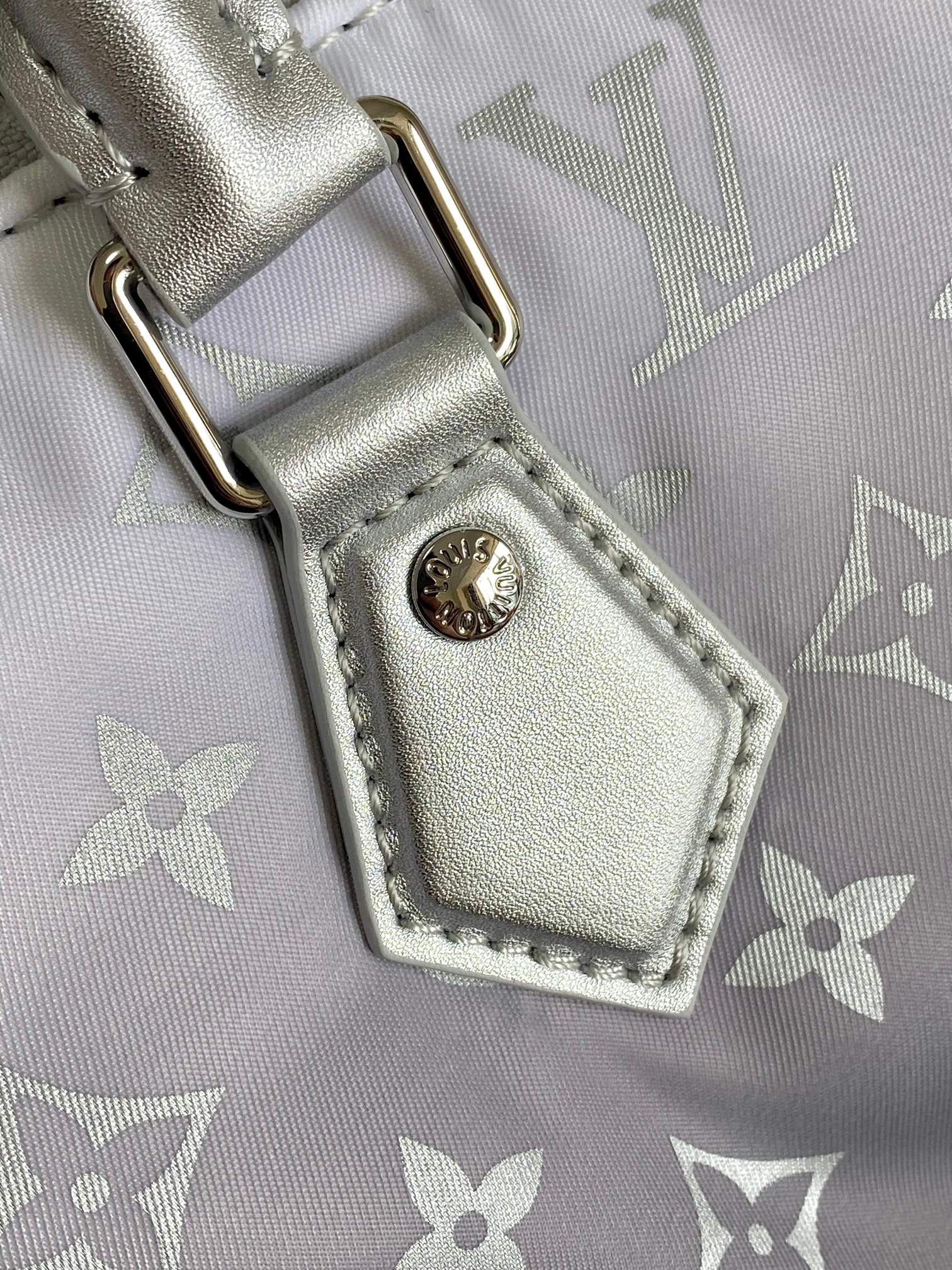 Louis Vuitton Speedy Bandoulière 25 Handbag in LV Snow Monogram - Image 5