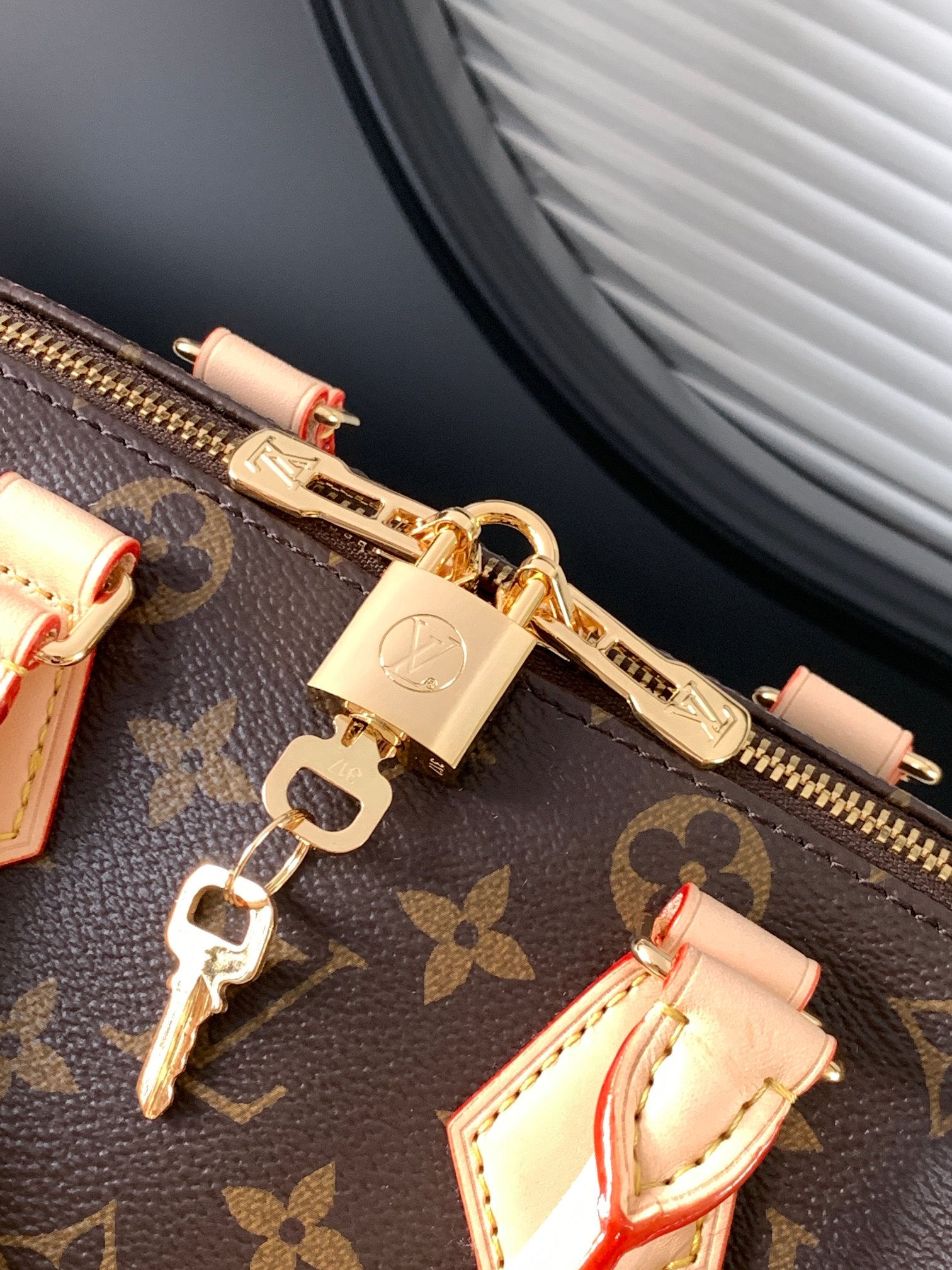Speedy Bandoulière 20 Monogram Canvas Handbag - Image 5