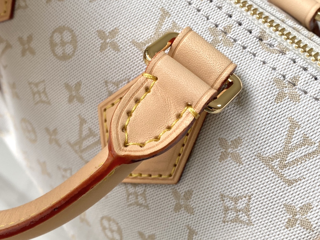 Louis Vuitton Speedy Bandouliere 20 Handbag - Image 5