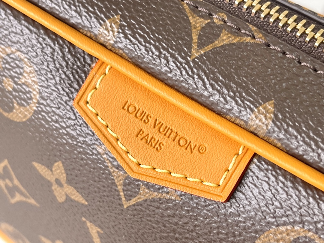 Louis Vuitton Trocadéro Mini Camera Bag M14058 - Image 5