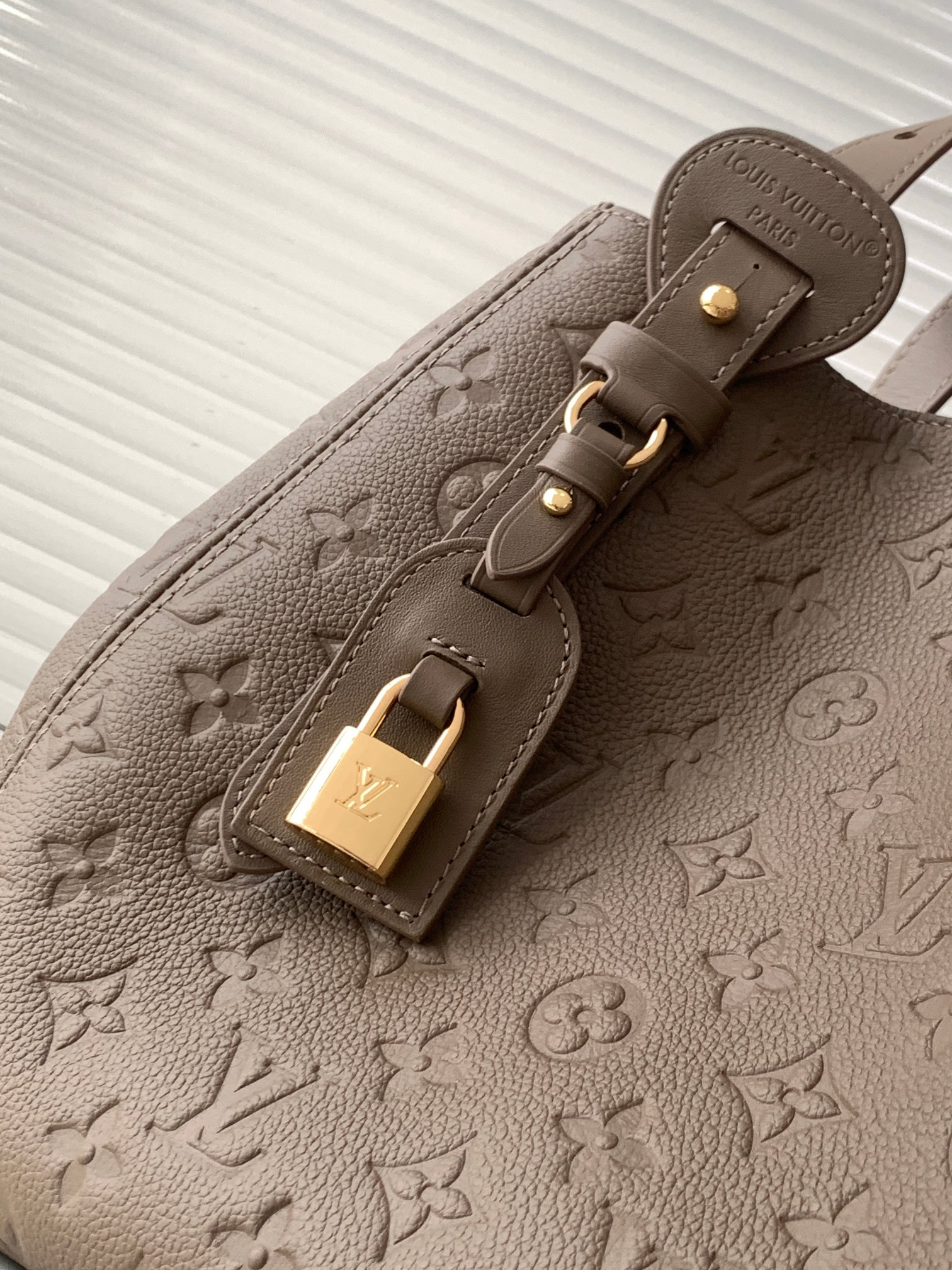 Louis Vuitton All In One Small Hobo Tote Bag M25890 - Image 5