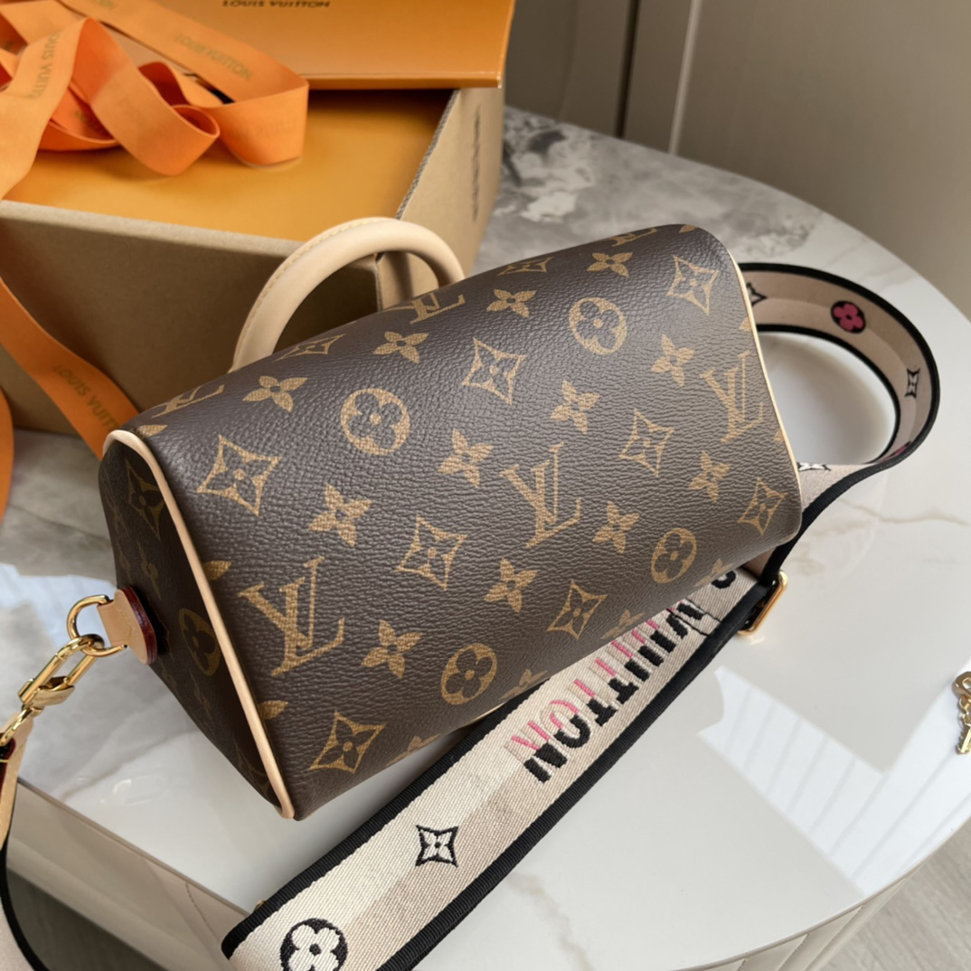 Louis Vuitton Speedy Bandouliere 20 Monogram Canvas Crossbody Bag - Image 5
