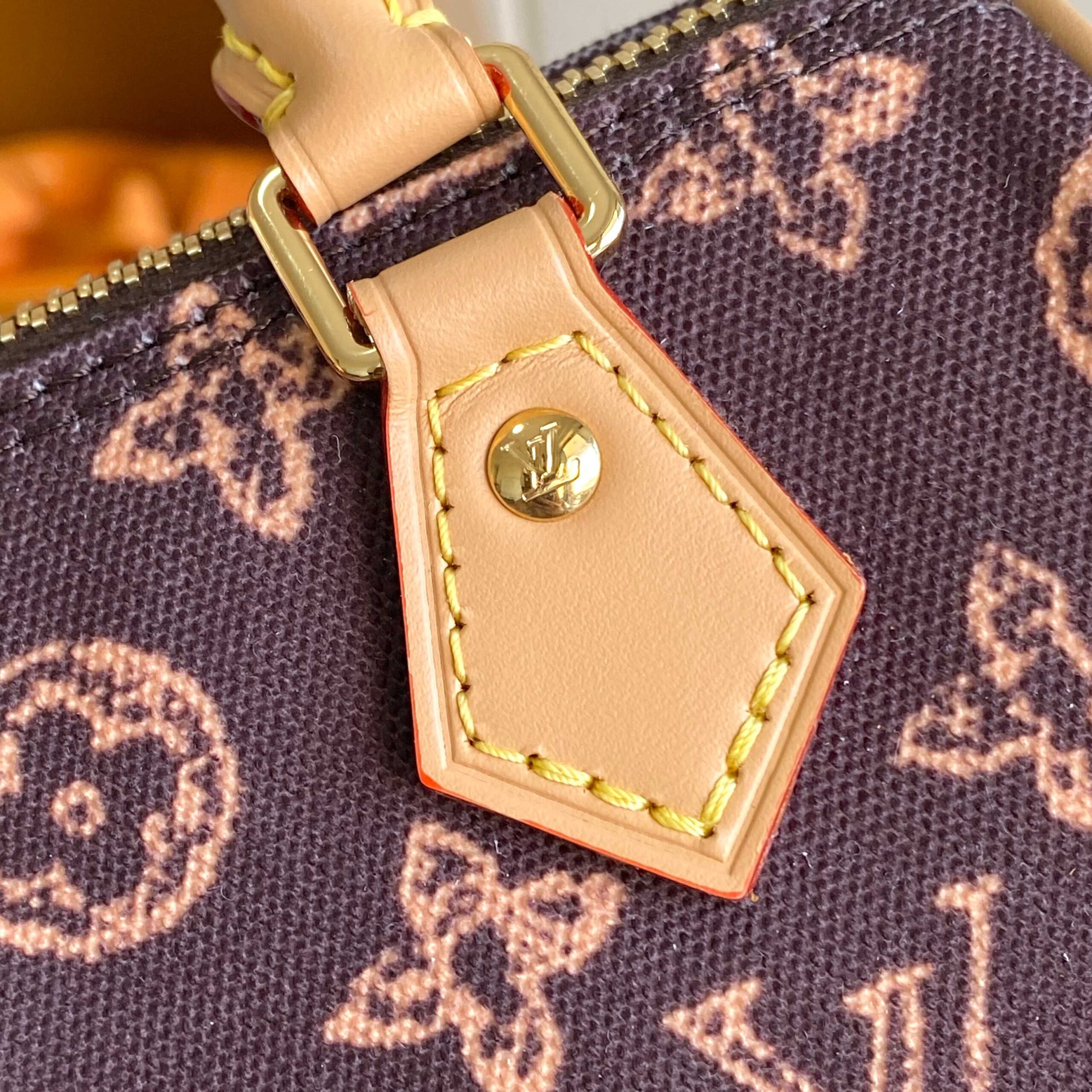 Louis Vuitton Nano Speedy Monogram Origine Crossbody Bag - Image 5