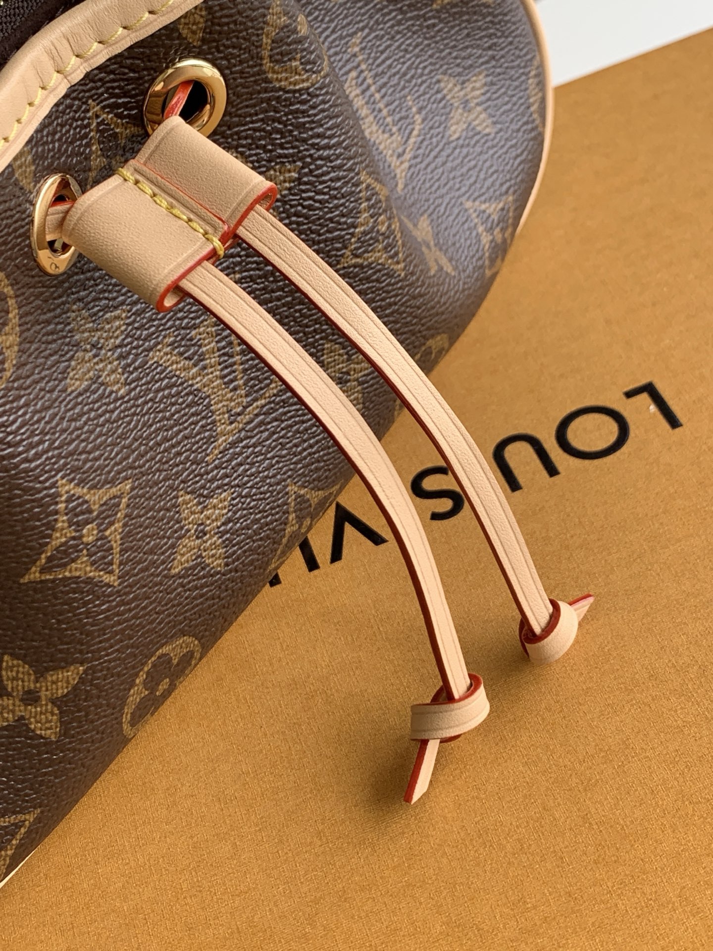 Nano Frivole Mini Shoulder Bag in Monogram Canvas - Image 5