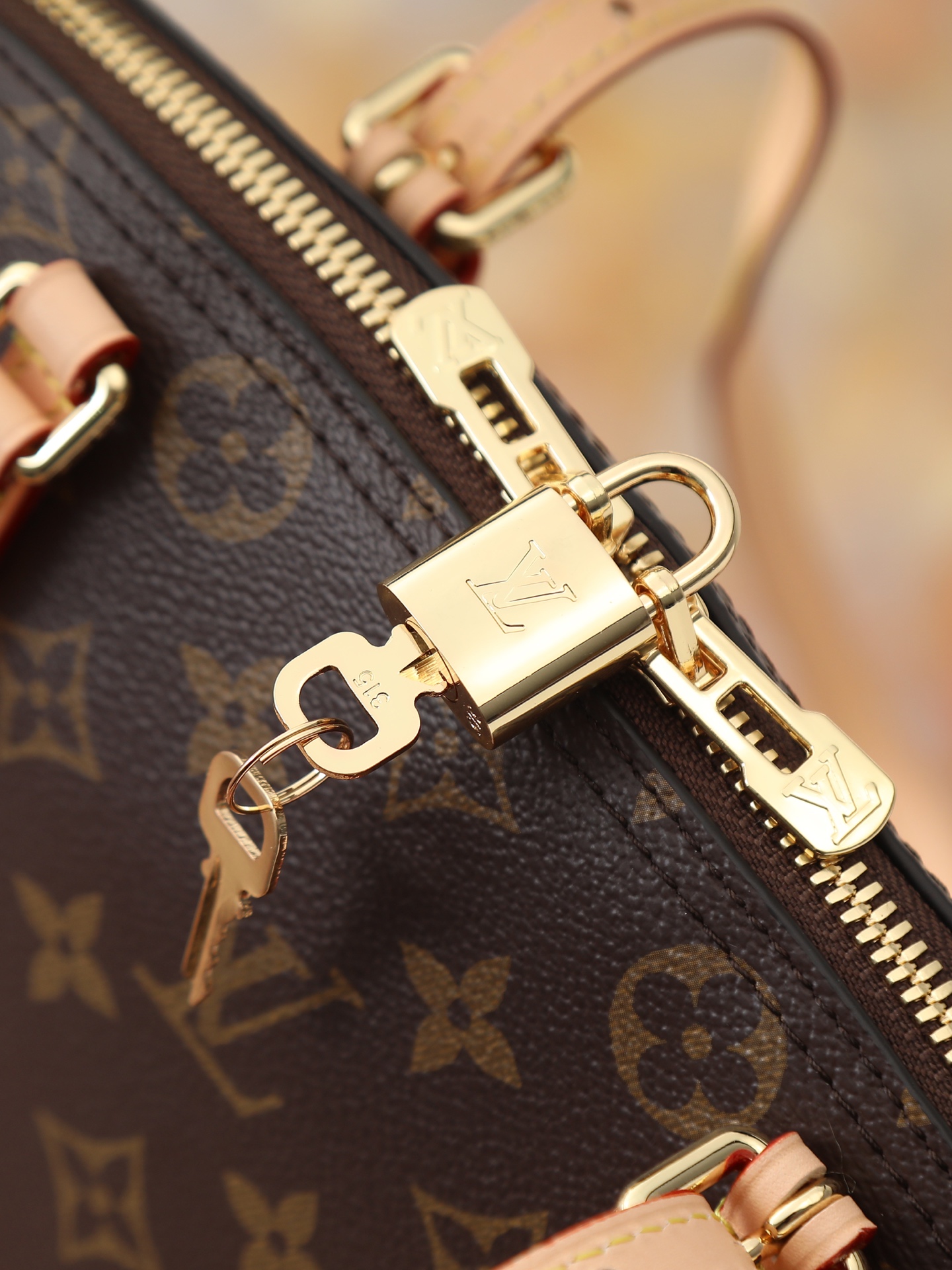 Squire Monogram Canvas Handbag M28951 - Image 5