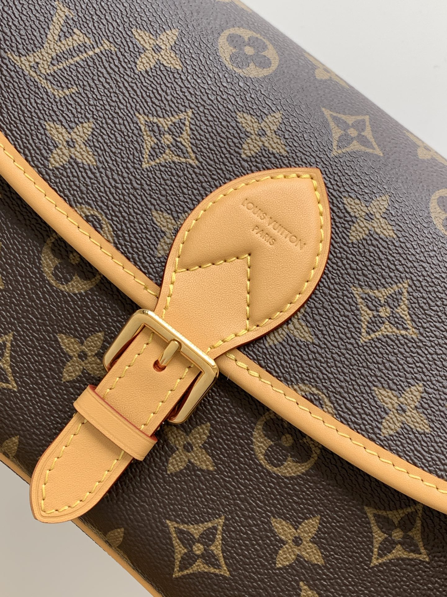 Diane Handbag with Removable Shoulder and Crossbody Straps - Image 5