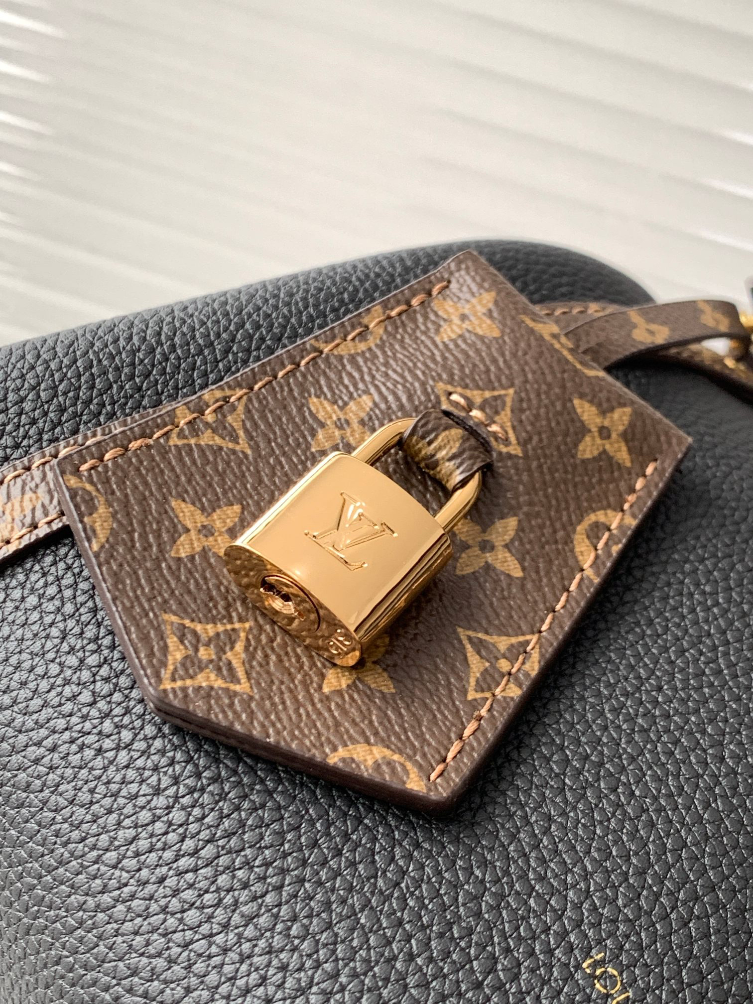 Louis Vuitton Express Small Handbag in Monogram Canvas and Leather - Image 5