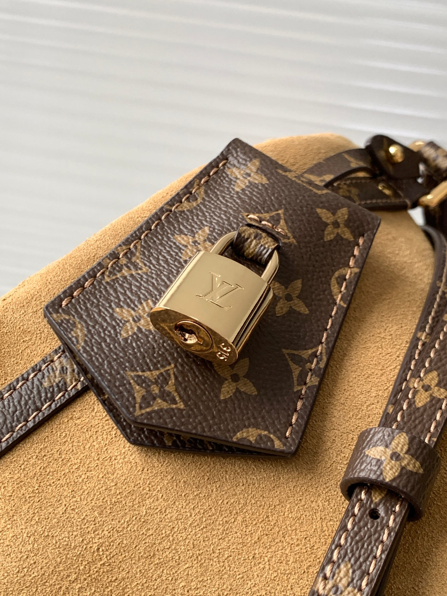 Louis Vuitton Express Medium Handbag - Image 5