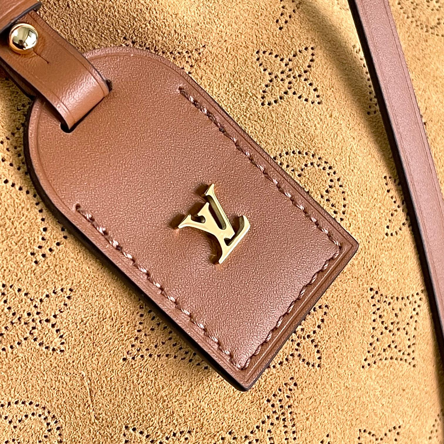 Louis Vuitton LV Ski CarryAll Small Handbag - Image 5