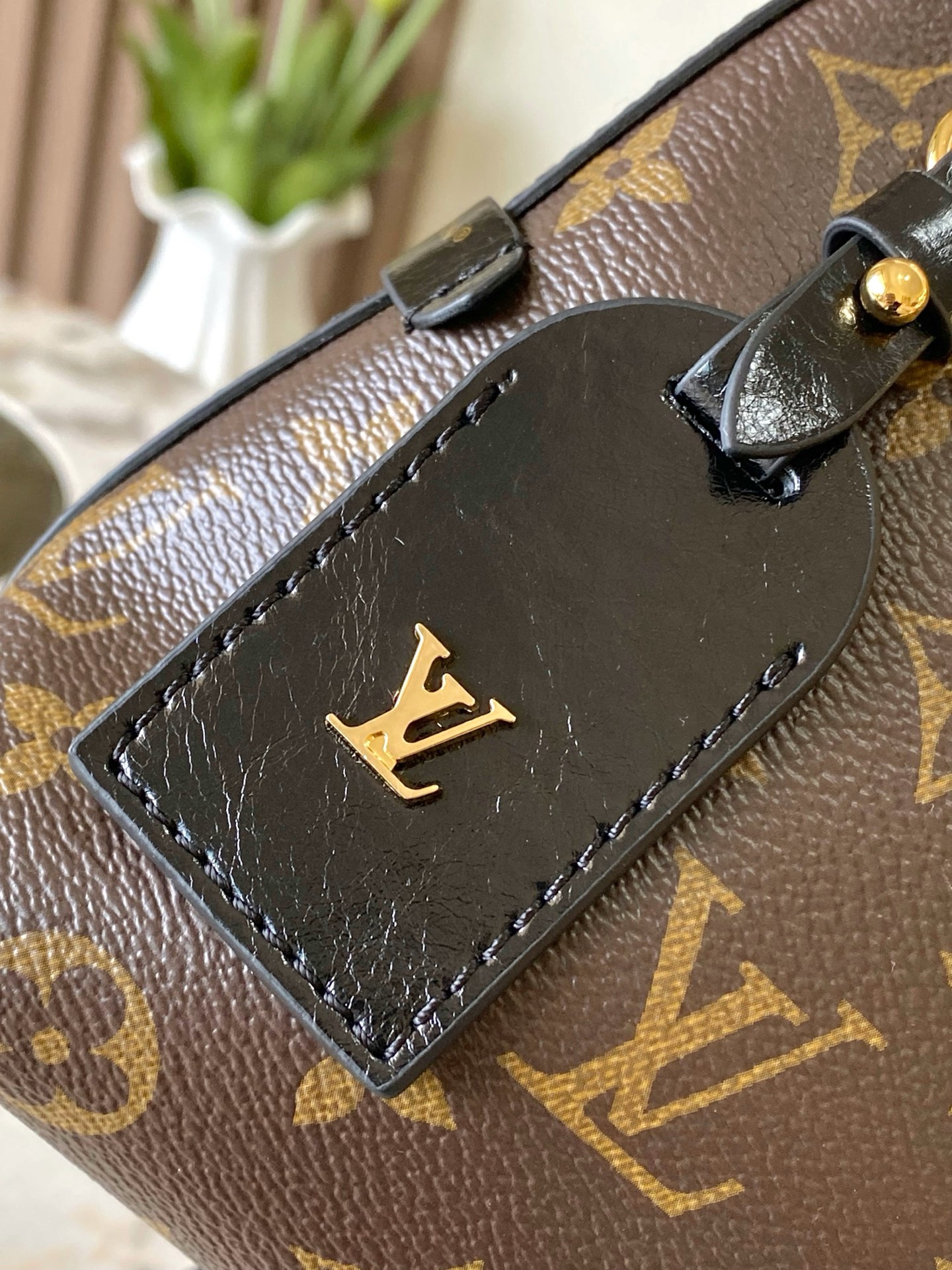 CarryAll BB Monogram Canvas Handbag - Image 5