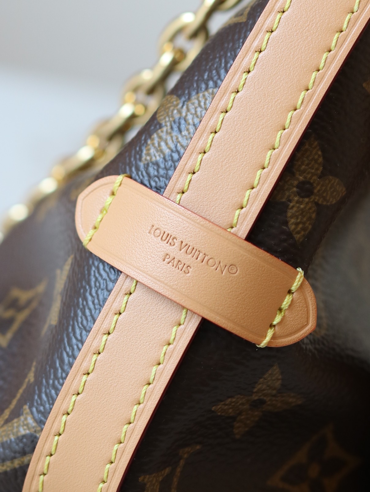 CarryAll BB Monogram Canvas Crossbody Bag - Image 5