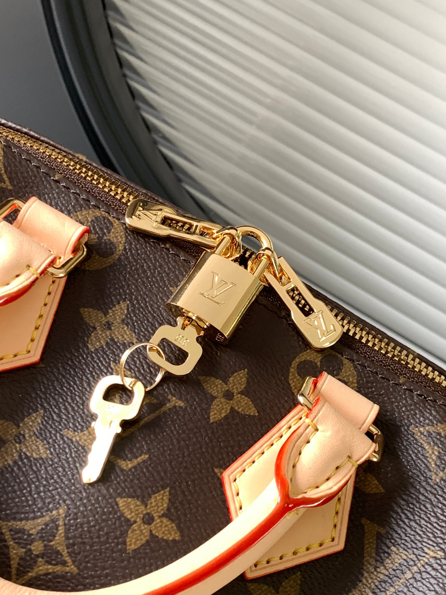 Louis Vuitton Speedy Bandoulière 20 Monogram Handbag - Image 5