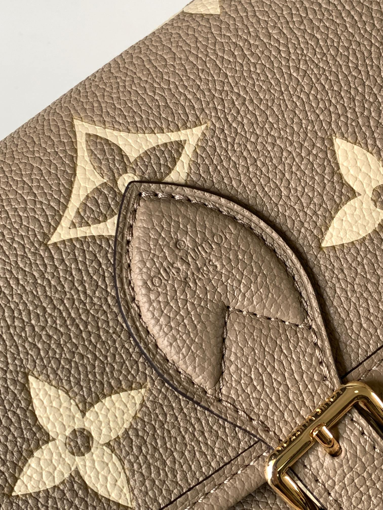 Louis Vuitton Diane Crossbody Bag in Monogram Empreinte Leather - Image 5