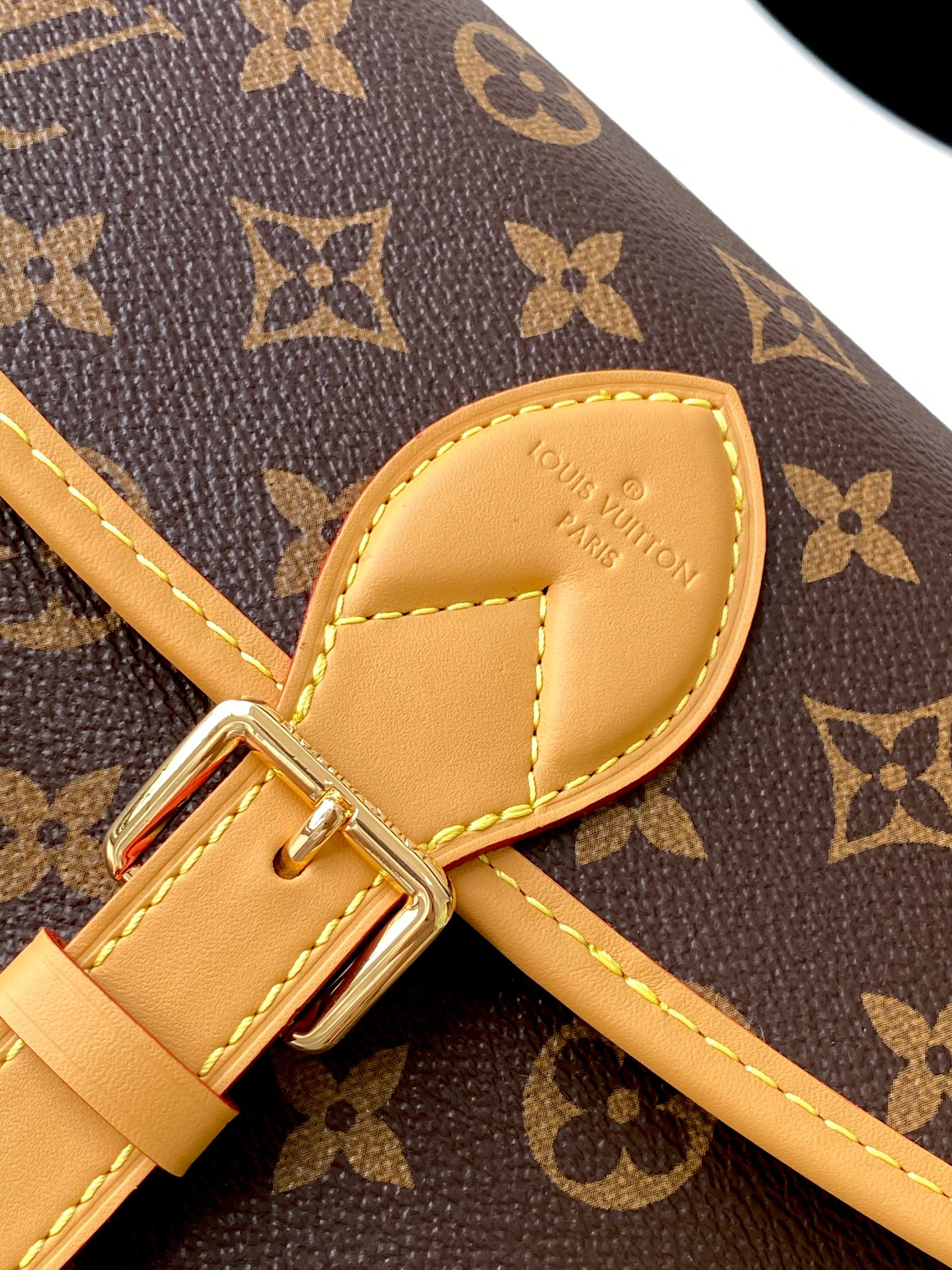 Louis Vuitton Diane Monogram Canvas Shoulder Bag M45985 - Image 5