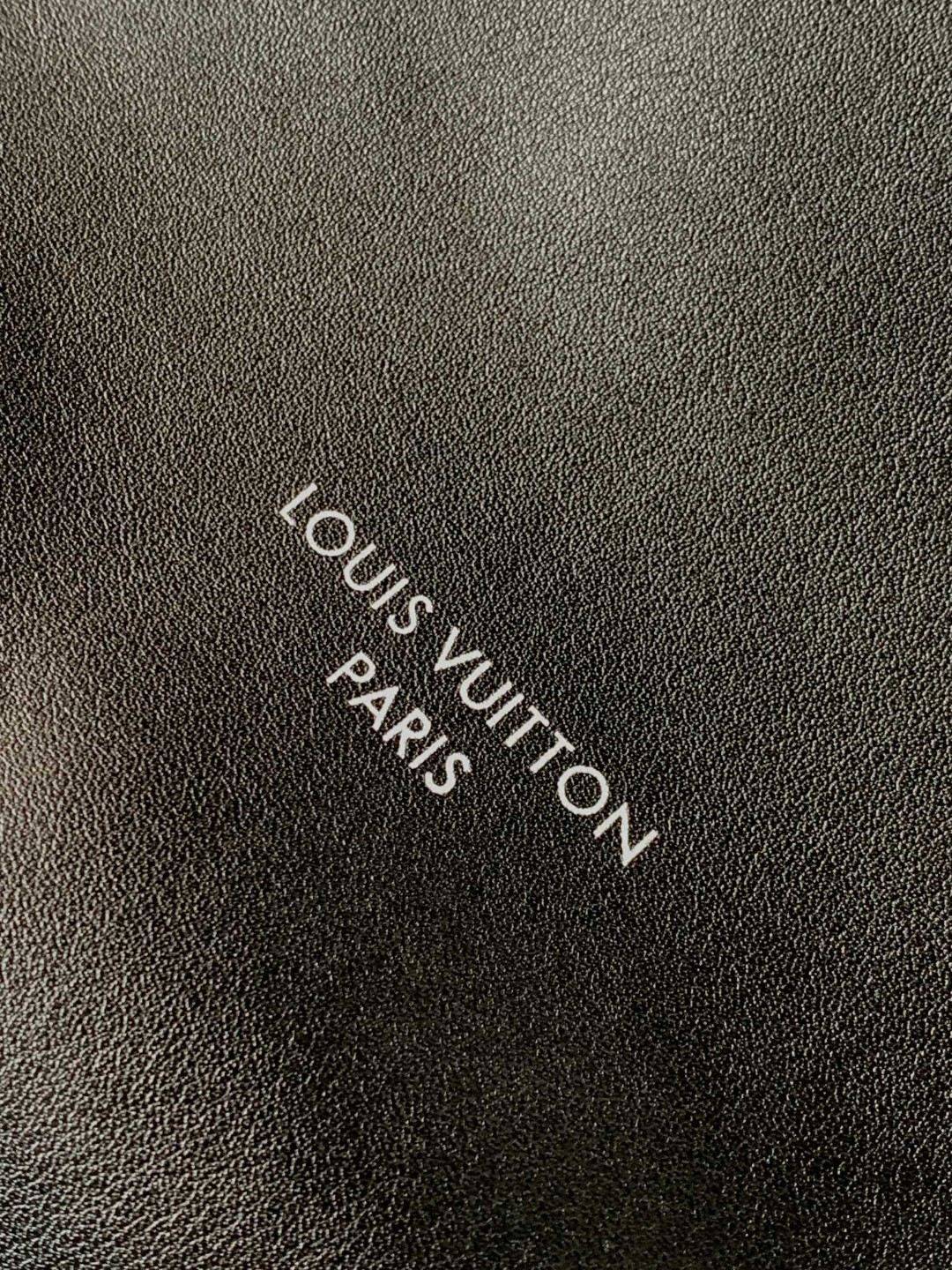 Louis Vuitton CarryAll Dark Medium Handbag M25143 - Image 5