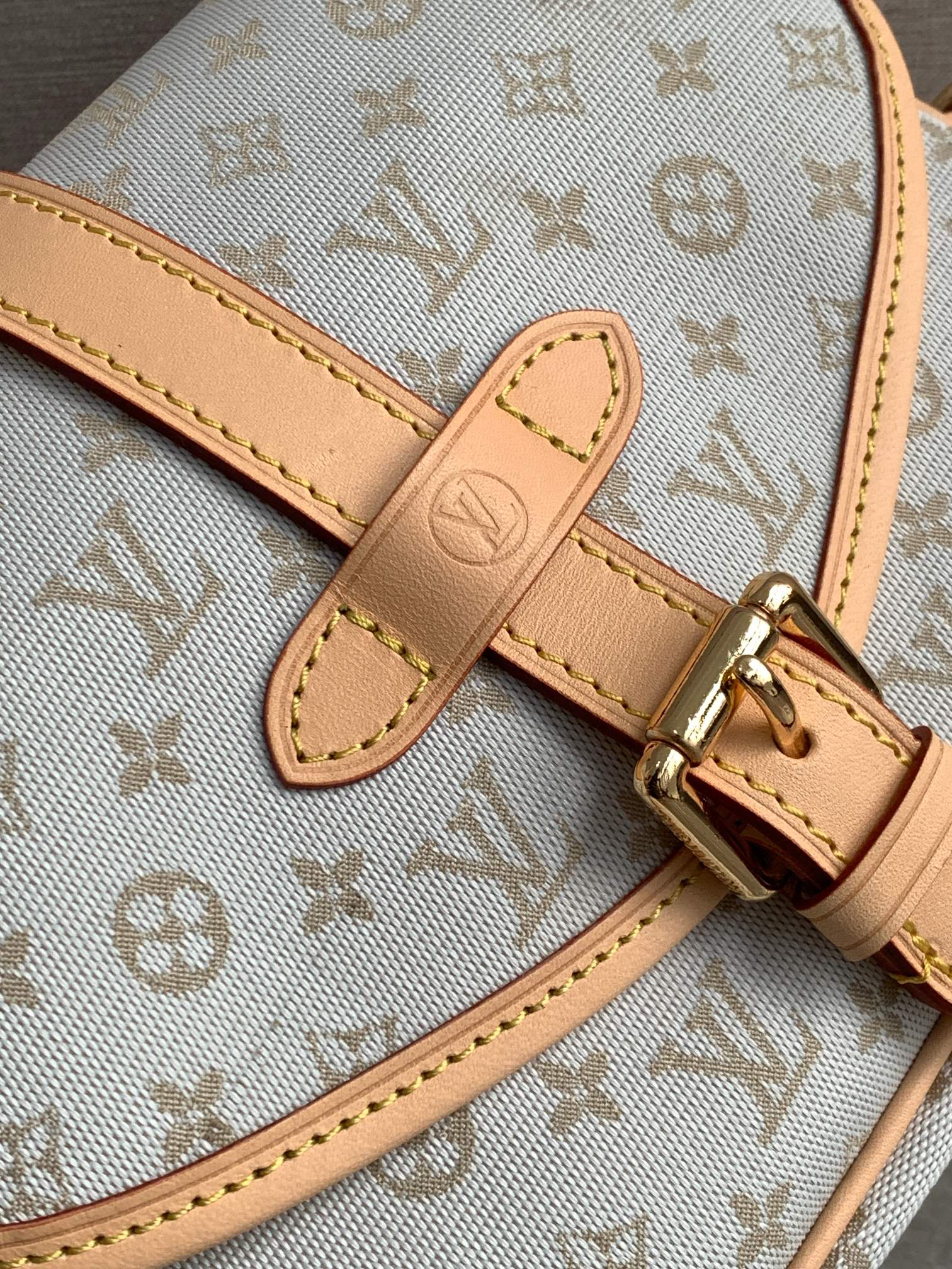 Louis Vuitton Saumur BB Handbag - Image 5