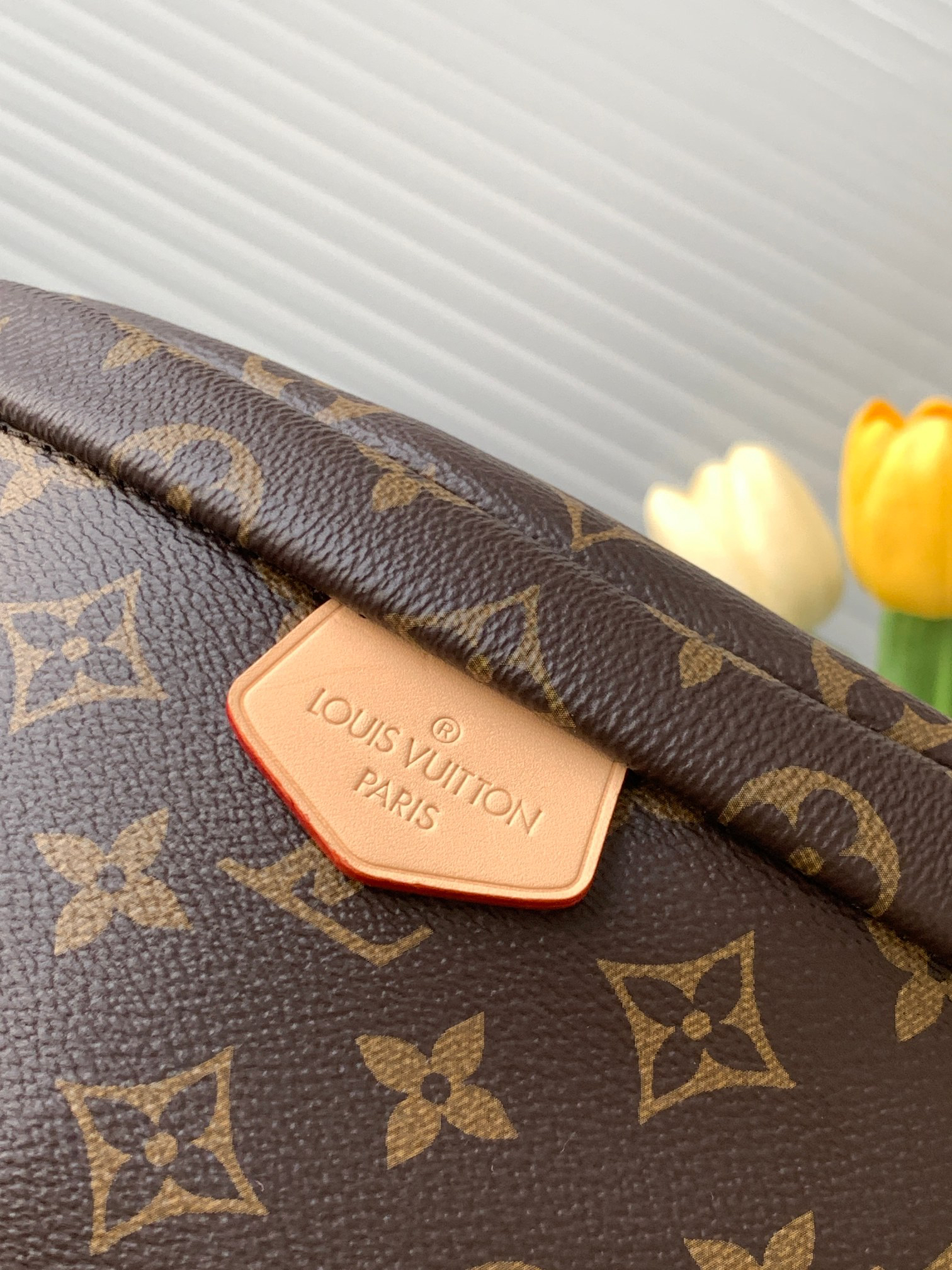 Louis Vuitton M43644 Monogram Belt Bag - Image 5