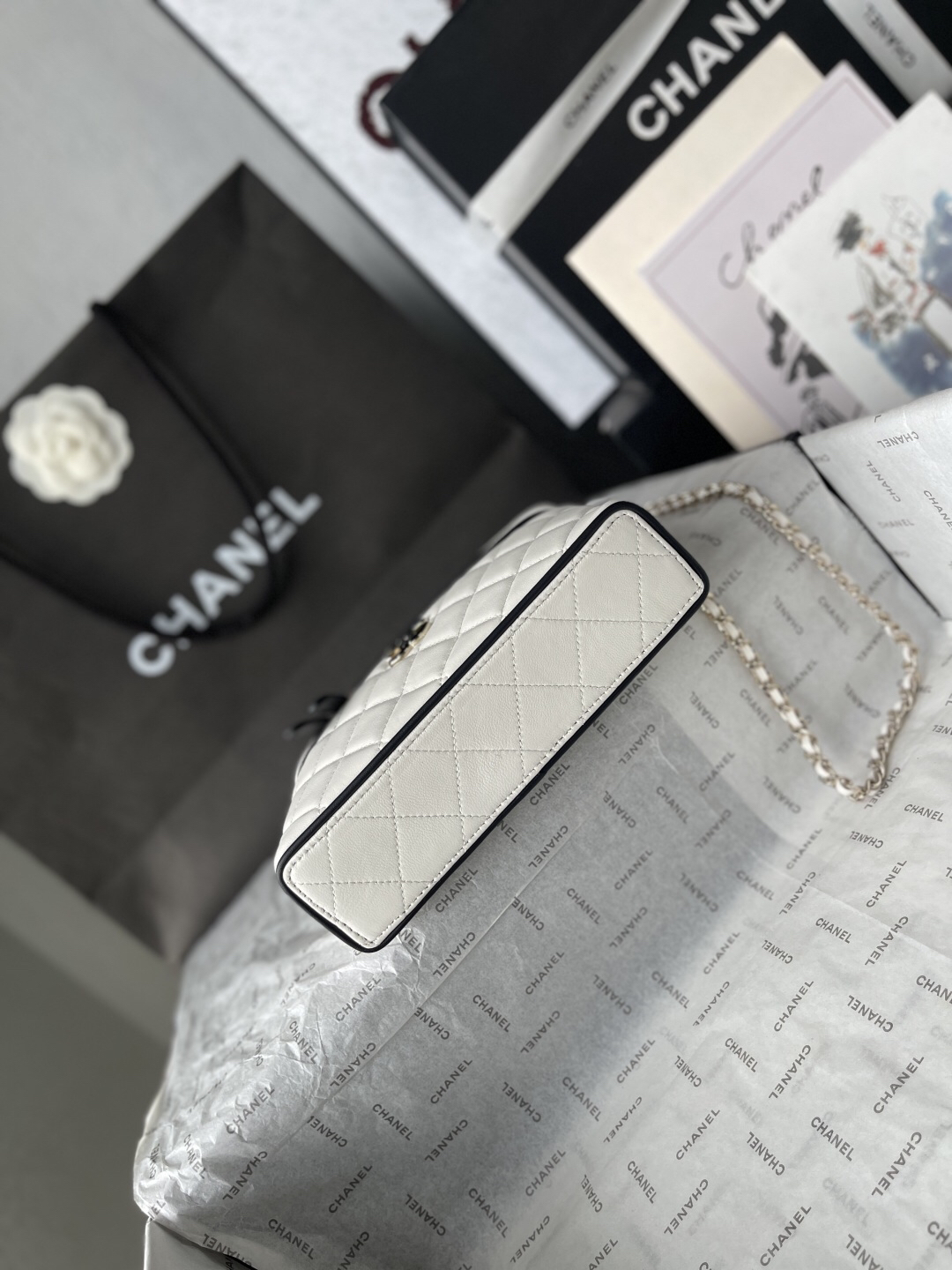 Chanel Panda Motif Small Box Bag - Image 5
