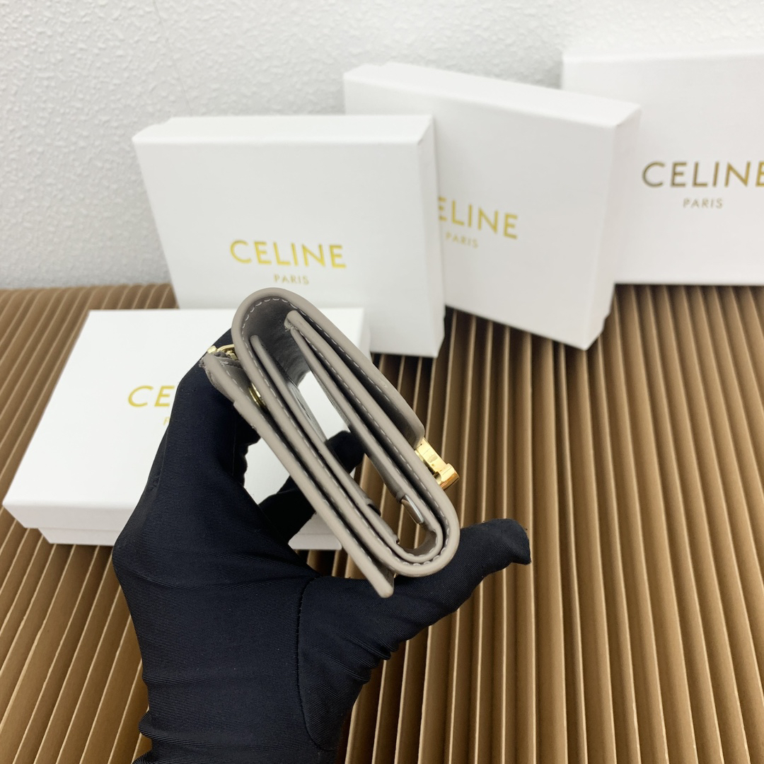 Celine Triomphe Small Calfskin Wallet in Elephant Gray - Image 5