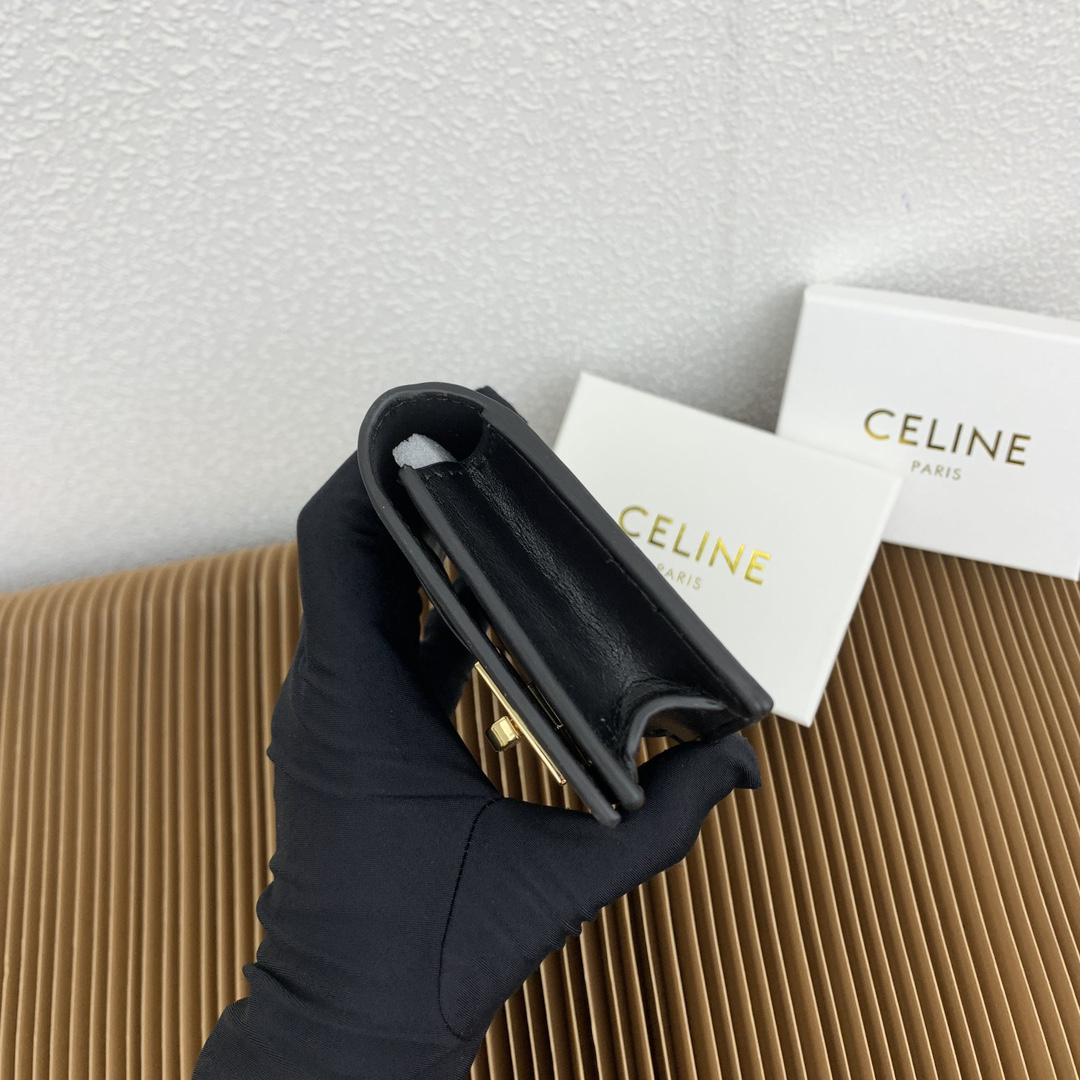 Celine Triomphe 16 Leather Card Holder - Image 5