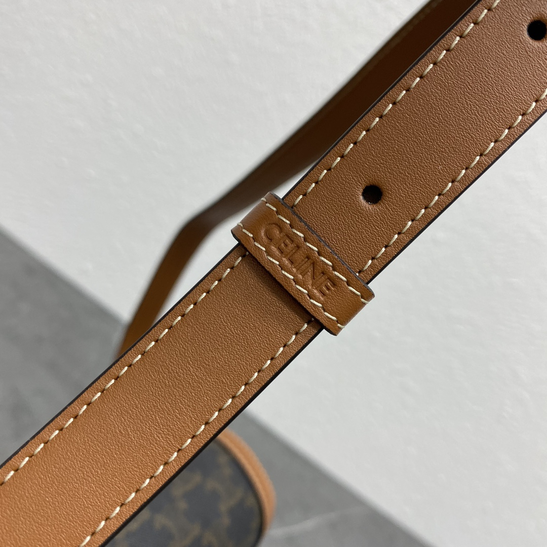 Celine Triomphe Limited-Edition Crossbody Bag - Image 6