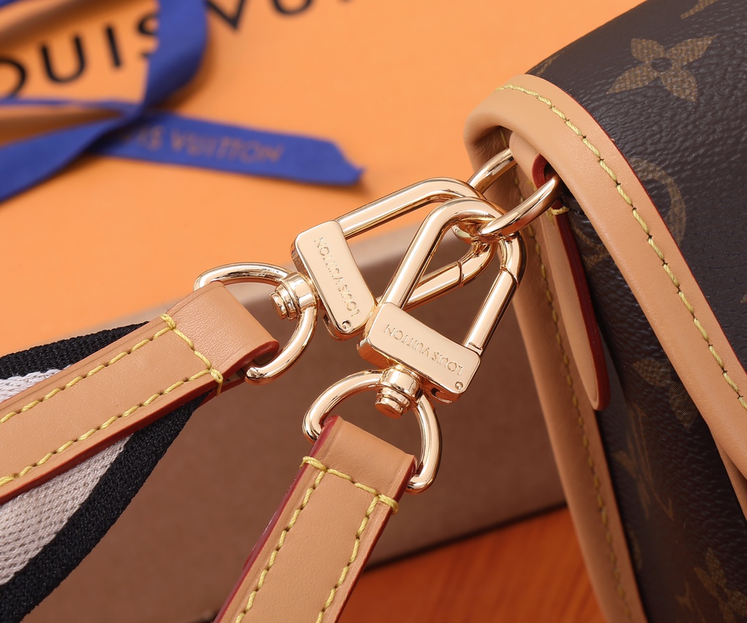 Louis Vuitton Diane Monogram Canvas Shoulder Bag - Image 6