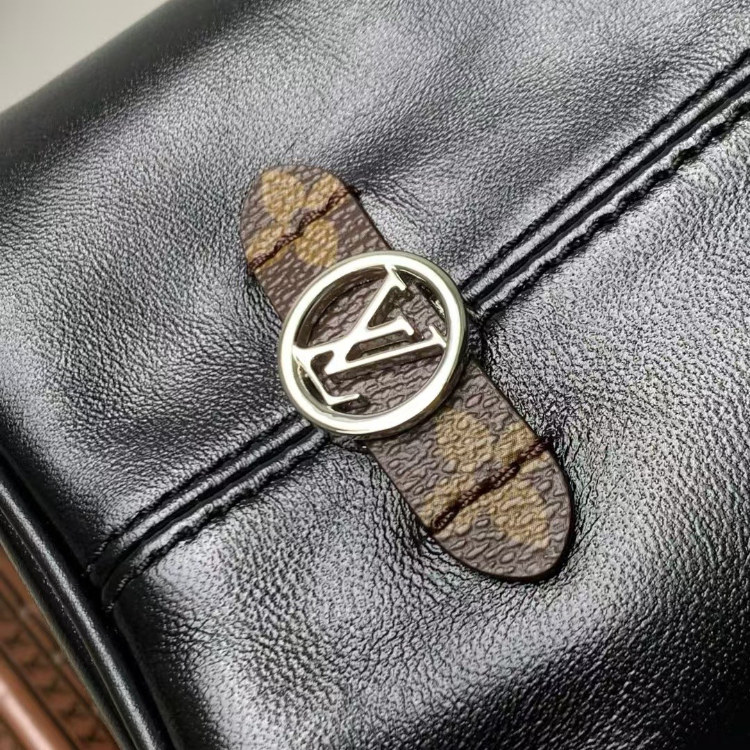 Louis Vuitton LV Vibe Noé Leather Crossbody Bag - Image 6