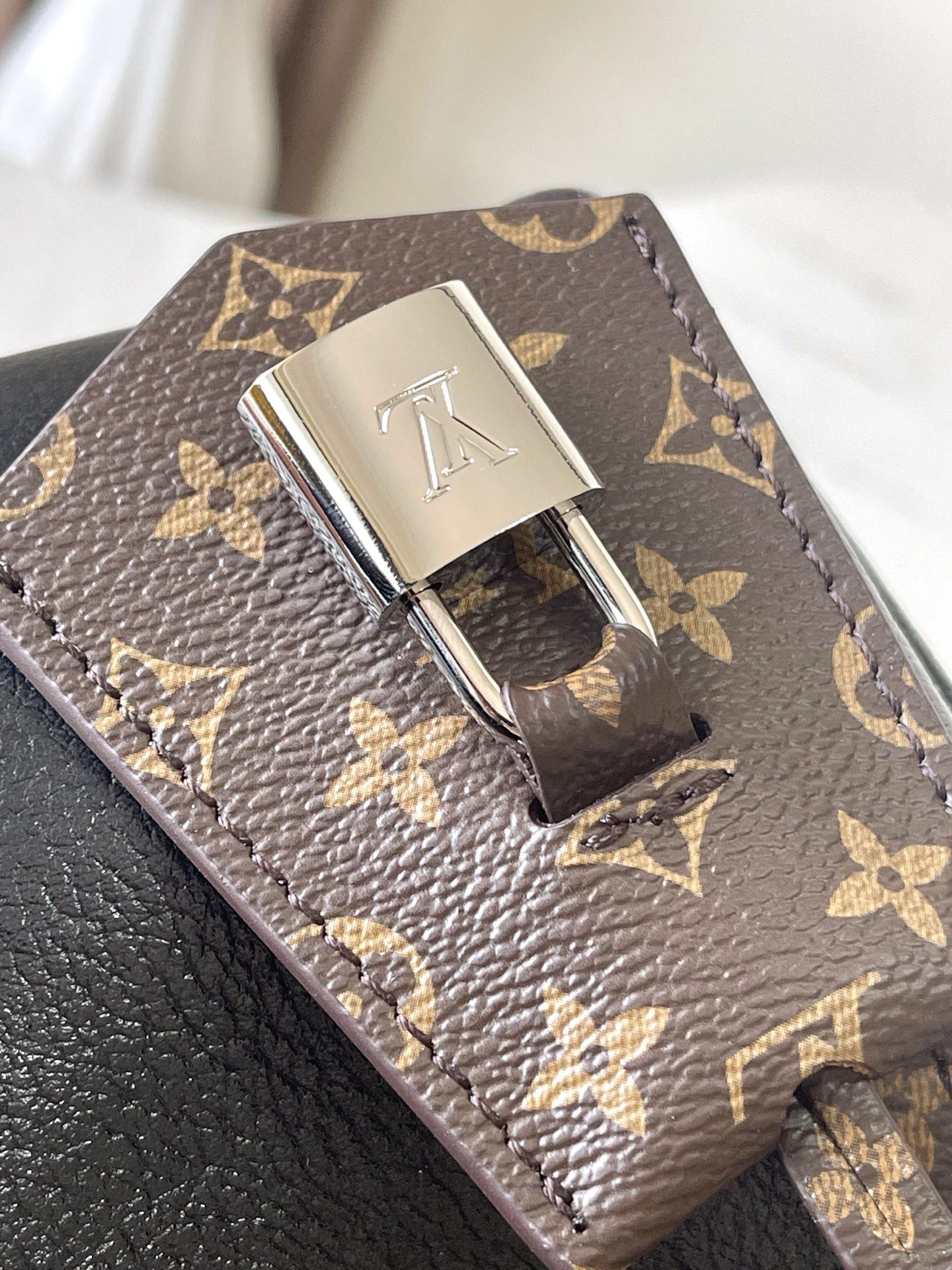 Louis Vuitton Express Mini Shoulder Bag M27920 in Black Oiled Waxed Leather - Image 6