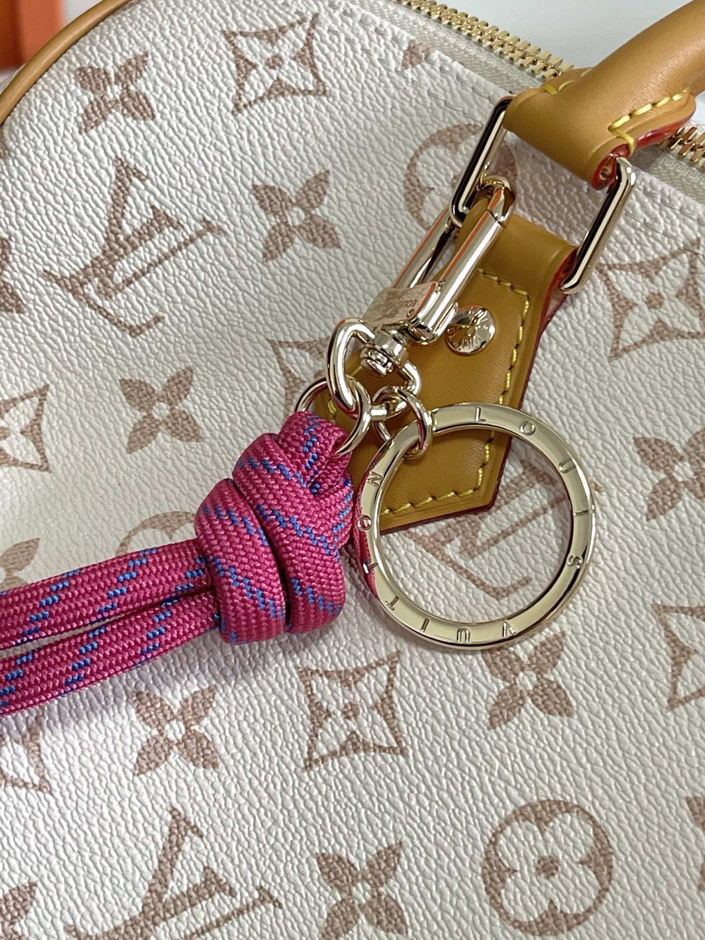 Speedy Soft 30 Lucky Handbag in Monogram Dune Canvas - Image 6