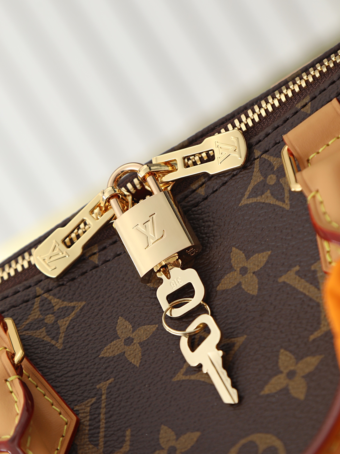 Louis Vuitton Speedy Soft 30 Handbag, Paris À Vélo Series, Model M27512 - Image 6