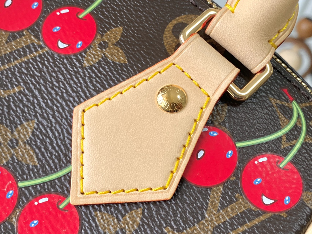 Louis Vuitton Speedy Bandouliere 20 M13094 Cherry Monogram Bag - Image 6