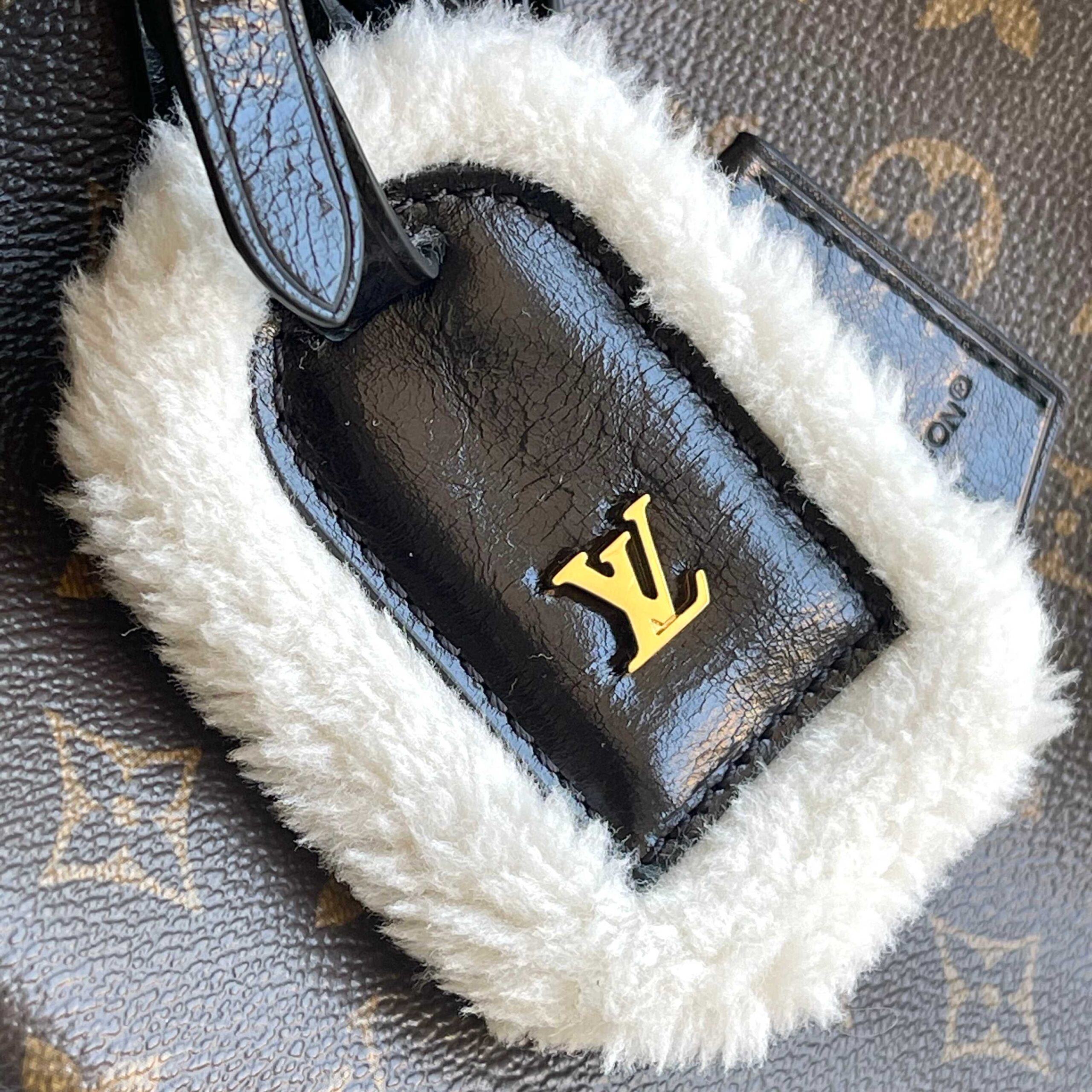 Louis Vuitton Speedy Soft 30 Teddy Handbag - Image 6