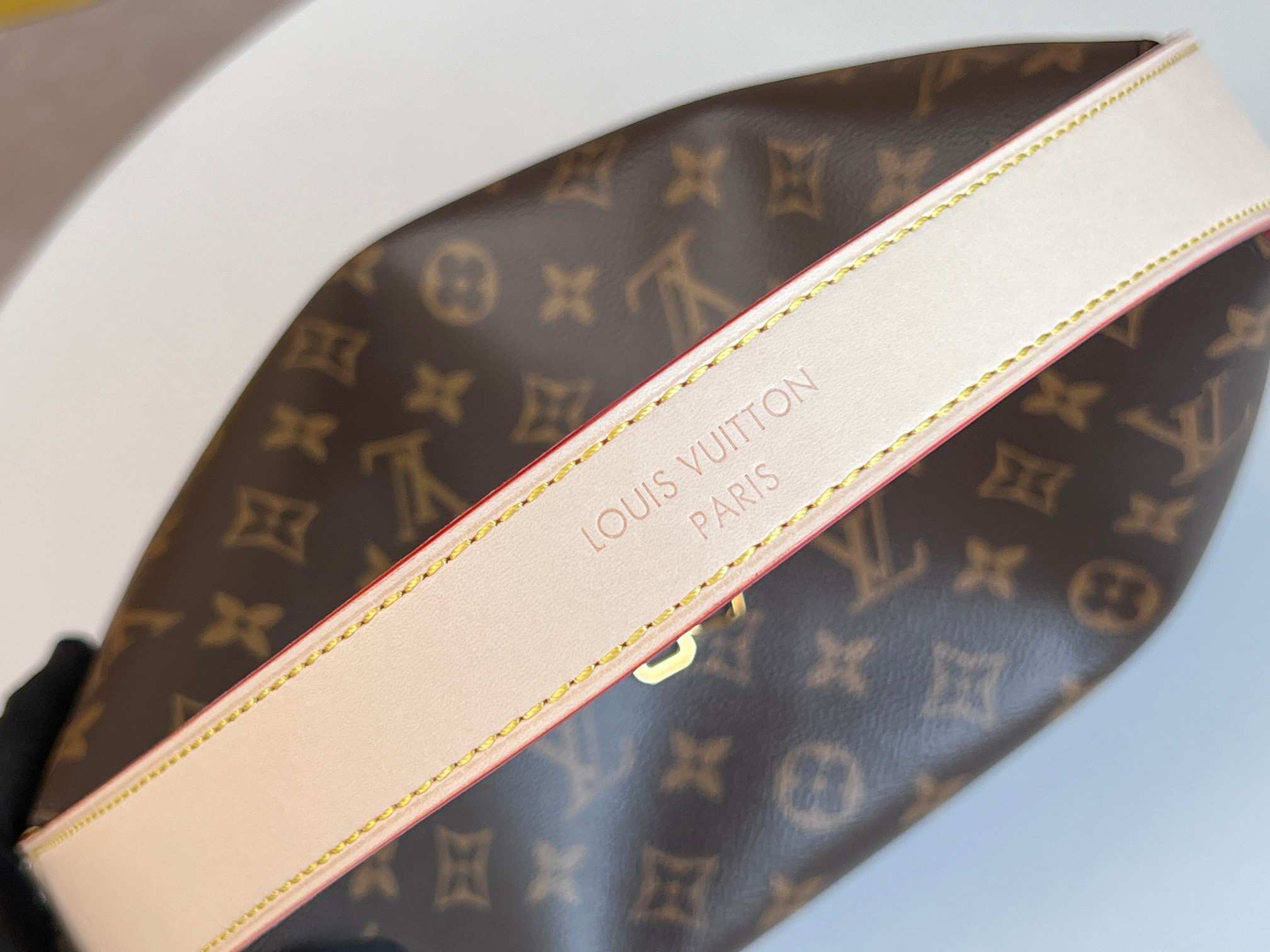 Louis Vuitton M11952 Slouchy Small Shoulder Bag - Image 6