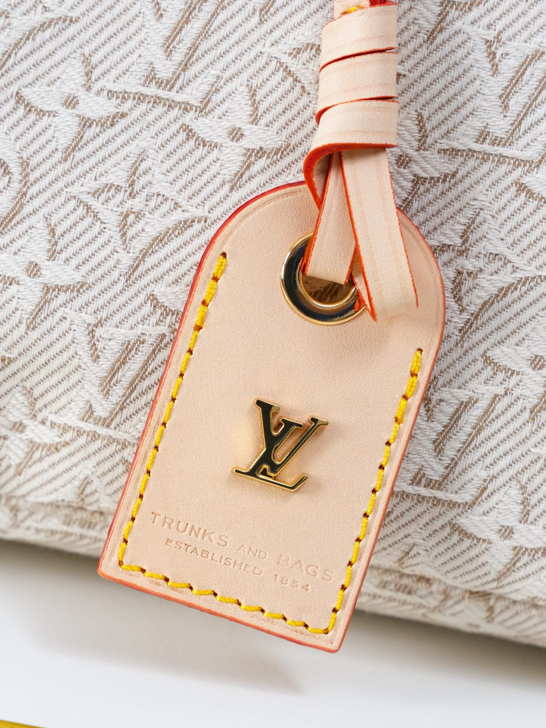 Louis Vuitton Neverfull MM Tote Bag in Monogram Emblème Peuplier - Image 6