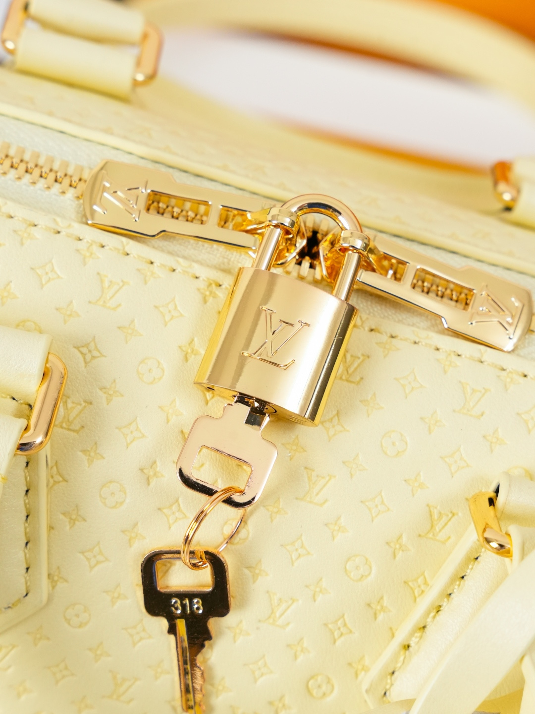 Speedy Bandoulière 20 Minigram Resort Handbag - Image 6
