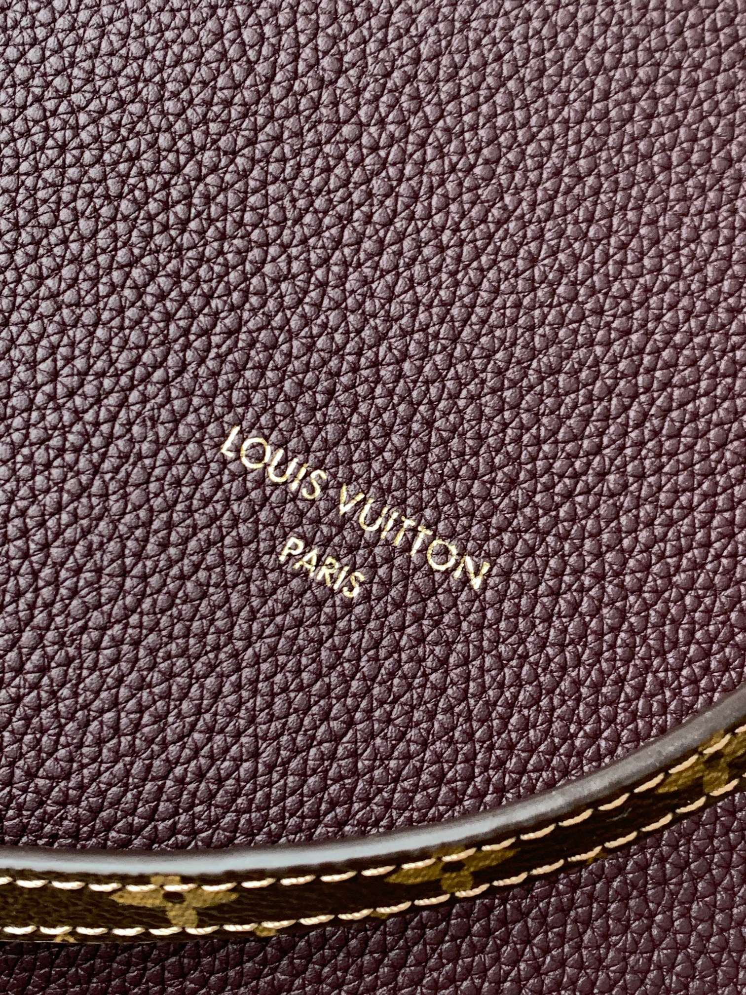 Louis Vuitton Express Medium Handbag in Brown Monogram - Image 6