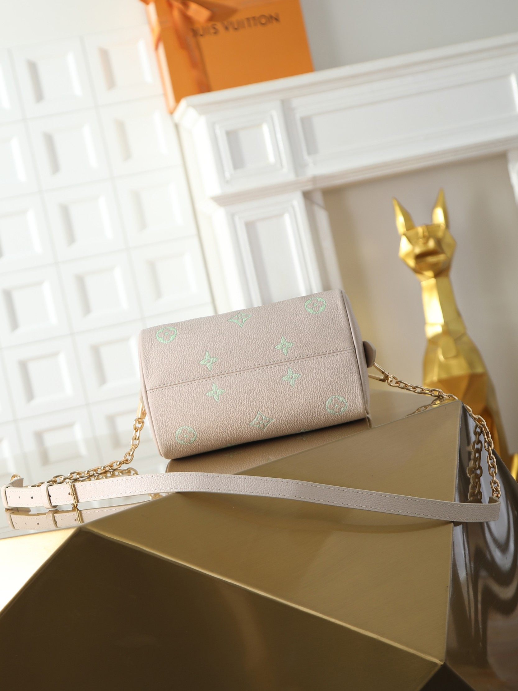 Louis Vuitton Speedy Bandoulière 20 Two-Tone Leather Crossbody Bag - Image 6