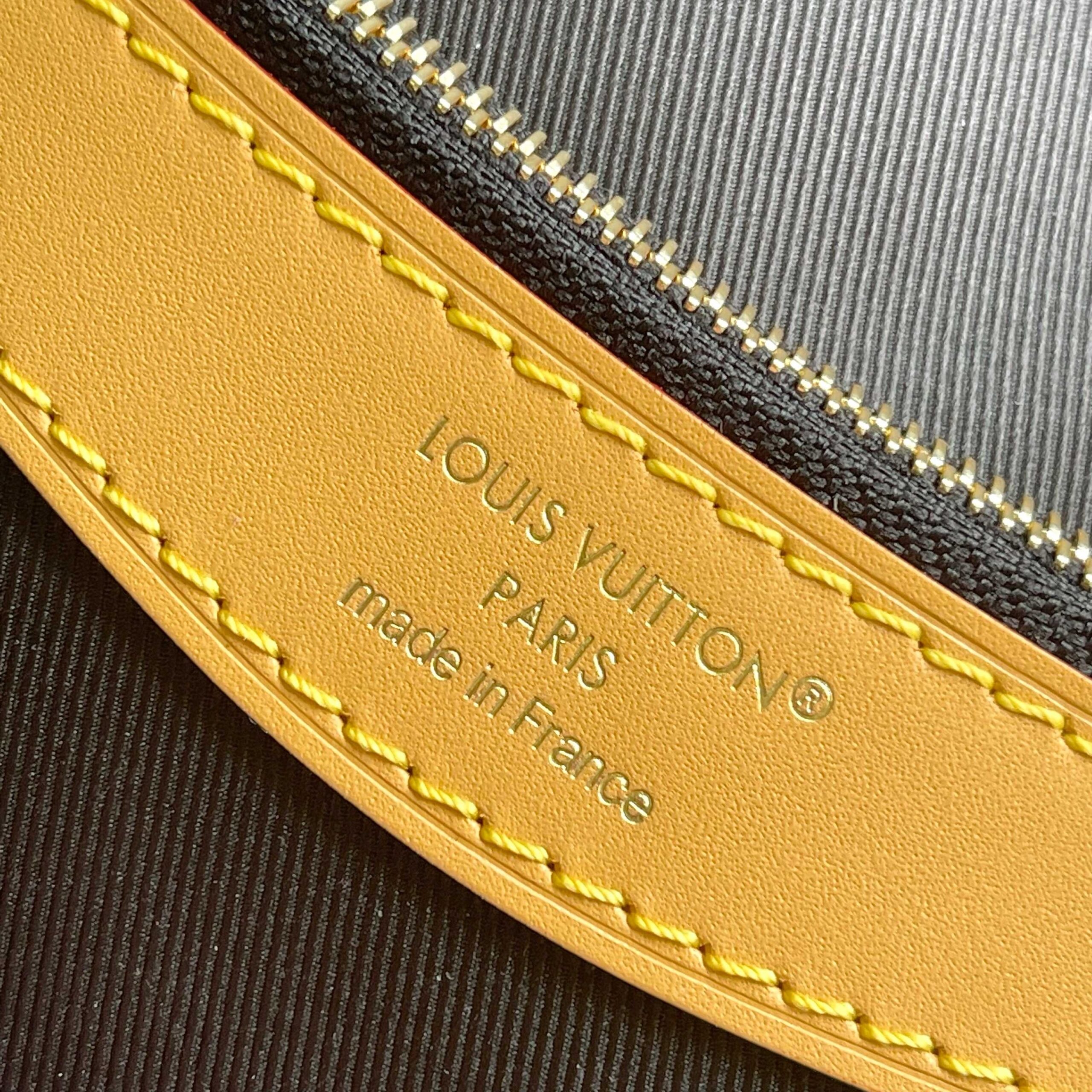 Louis Vuitton Diane Monogram Canvas Shoulder Bag - Image 6