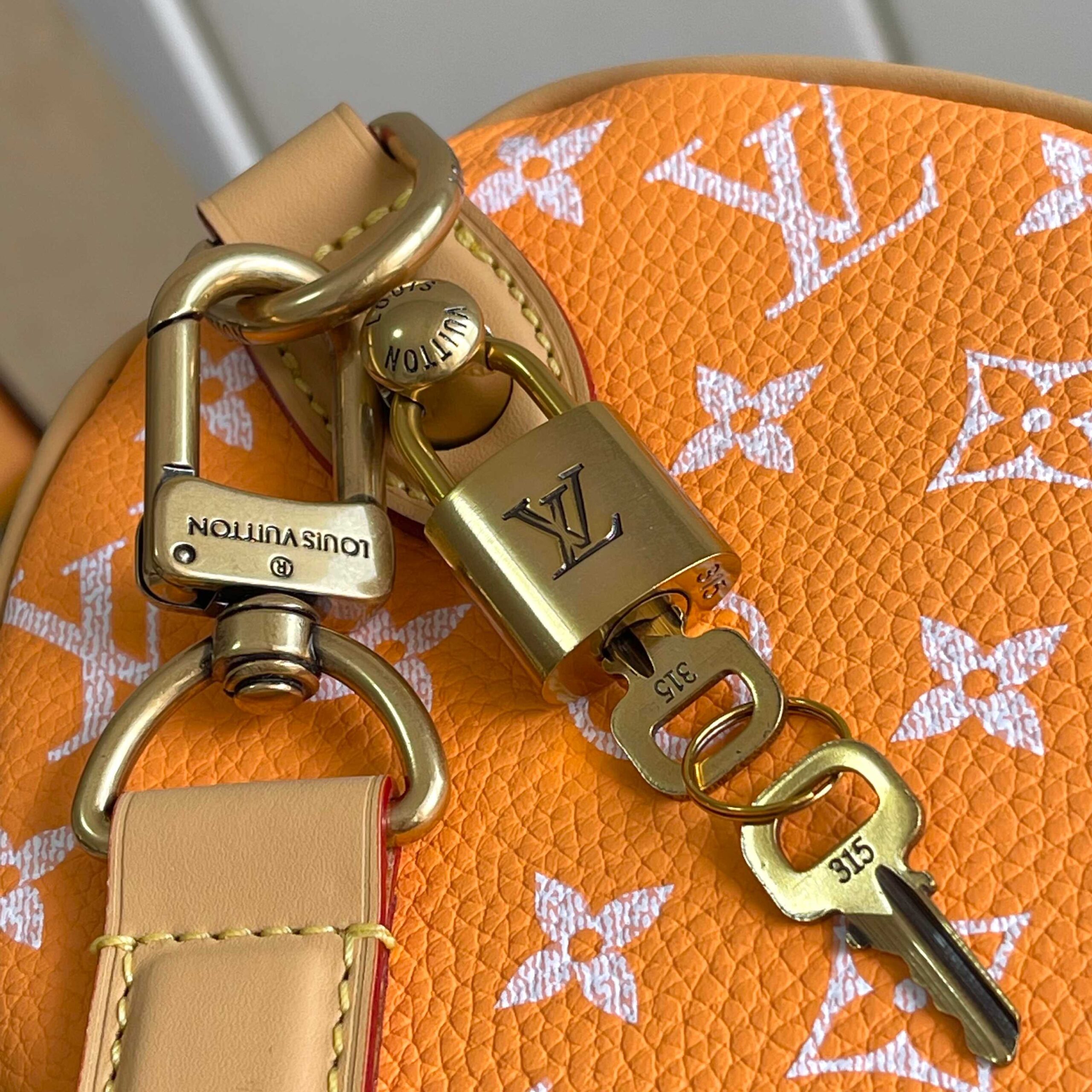 Speedy P9 Bandoulière 25 Monogram Leather Handbag - Image 6
