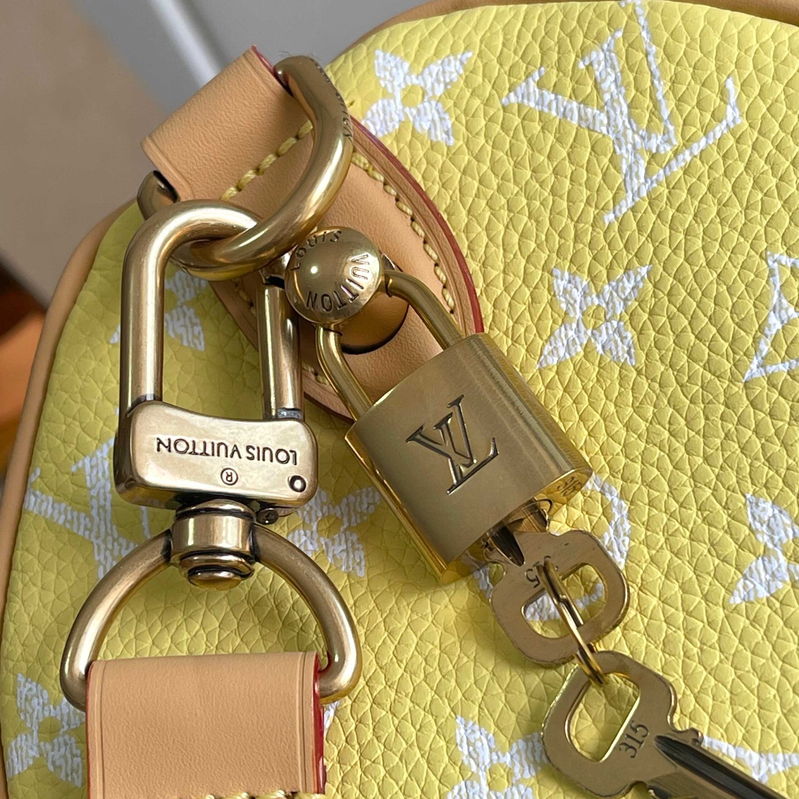Speedy P9 Bandoulière 25 Monogram Leather Handbag - Image 6