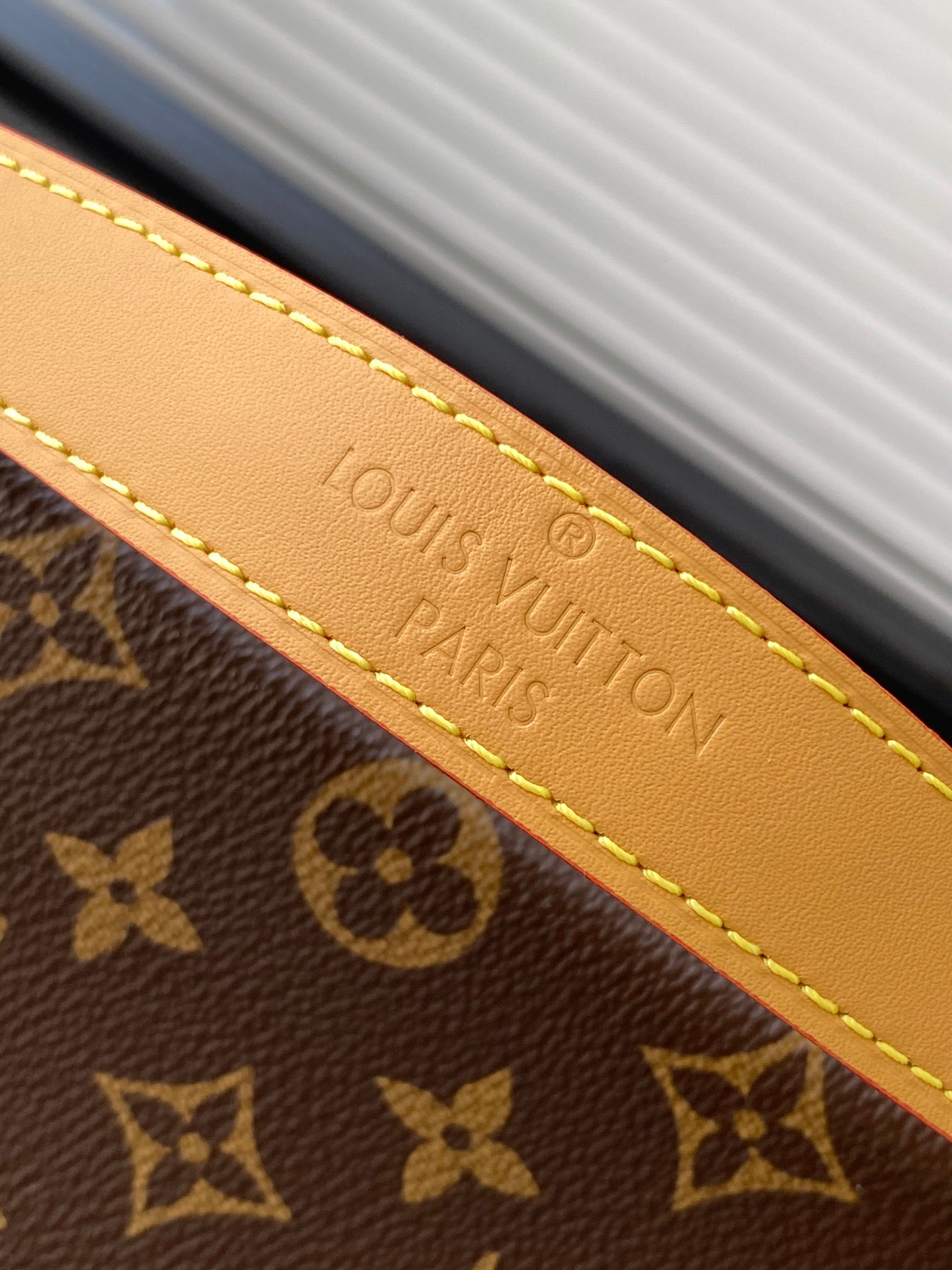Louis Vuitton Diane Monogram Canvas Shoulder Bag M45985 - Image 6