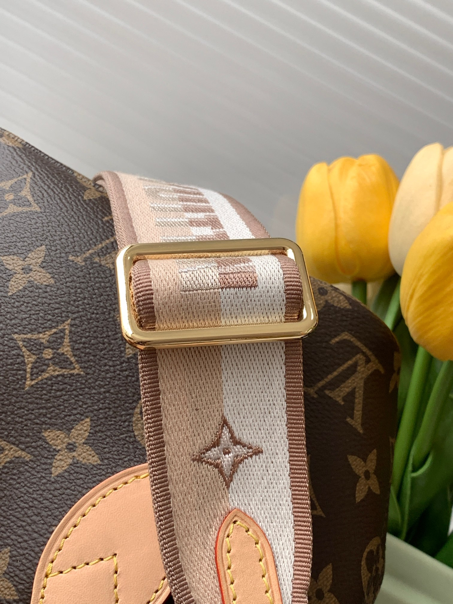Louis Vuitton Neverfull BB Mini Crossbody Bag - Image 6