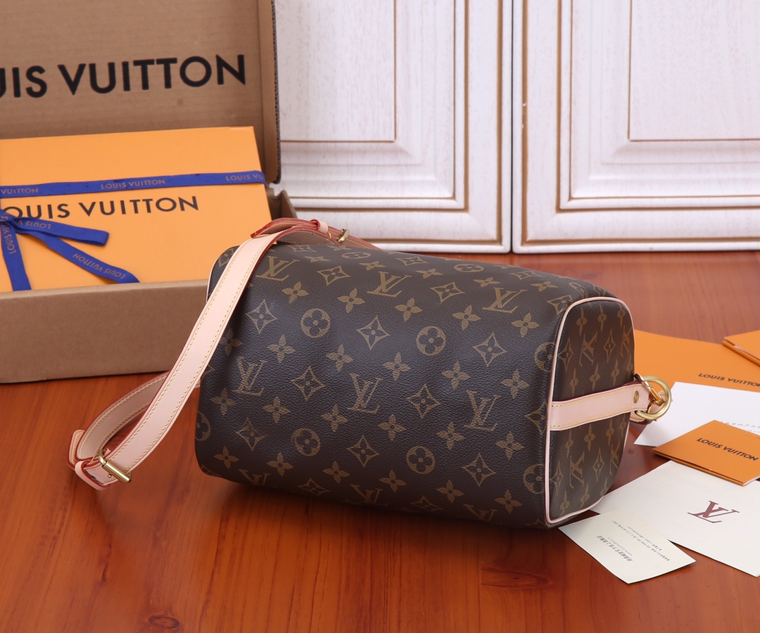 Louis Vuitton Speedy 25 Monogram Handbag - Image 7