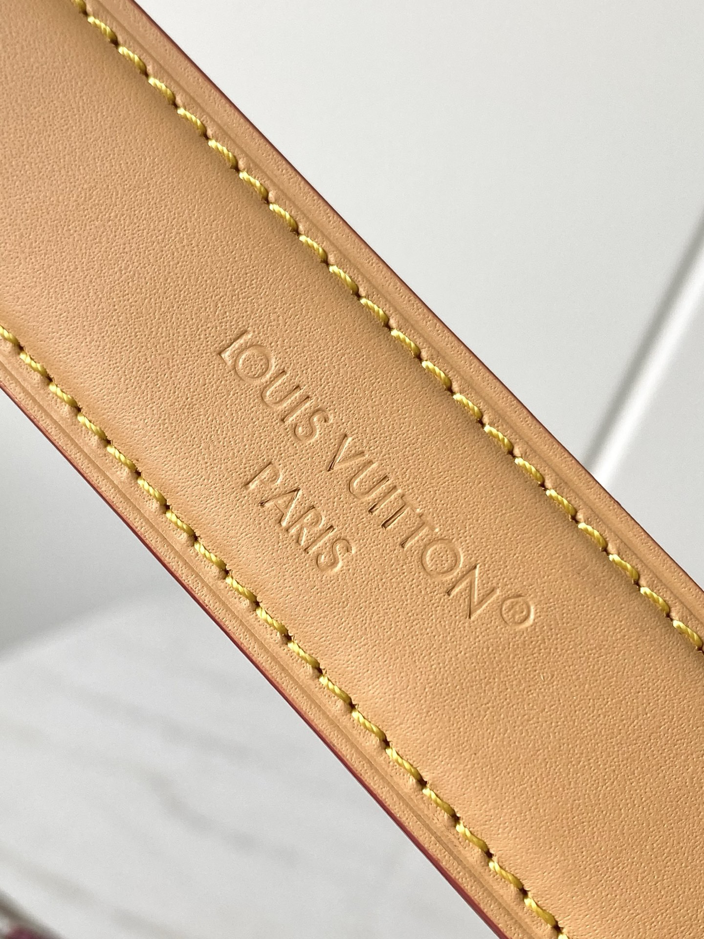 Louis Vuitton Side Trunk Large Shoulder Bag in Monogram Dune Canvas - Image 7
