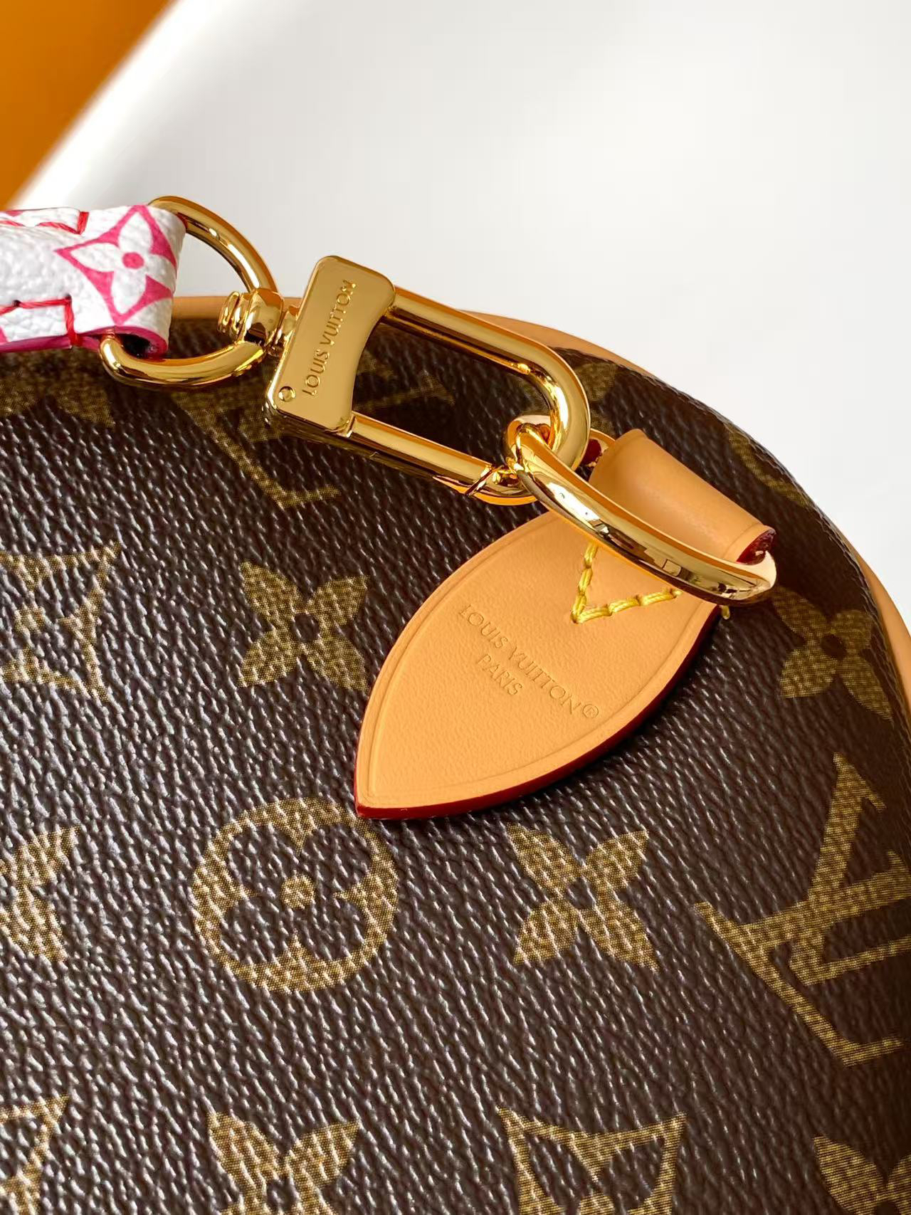 Speedy Soft 30 Boho Handbag in Bird-Motif Monogram Canvas - Image 7