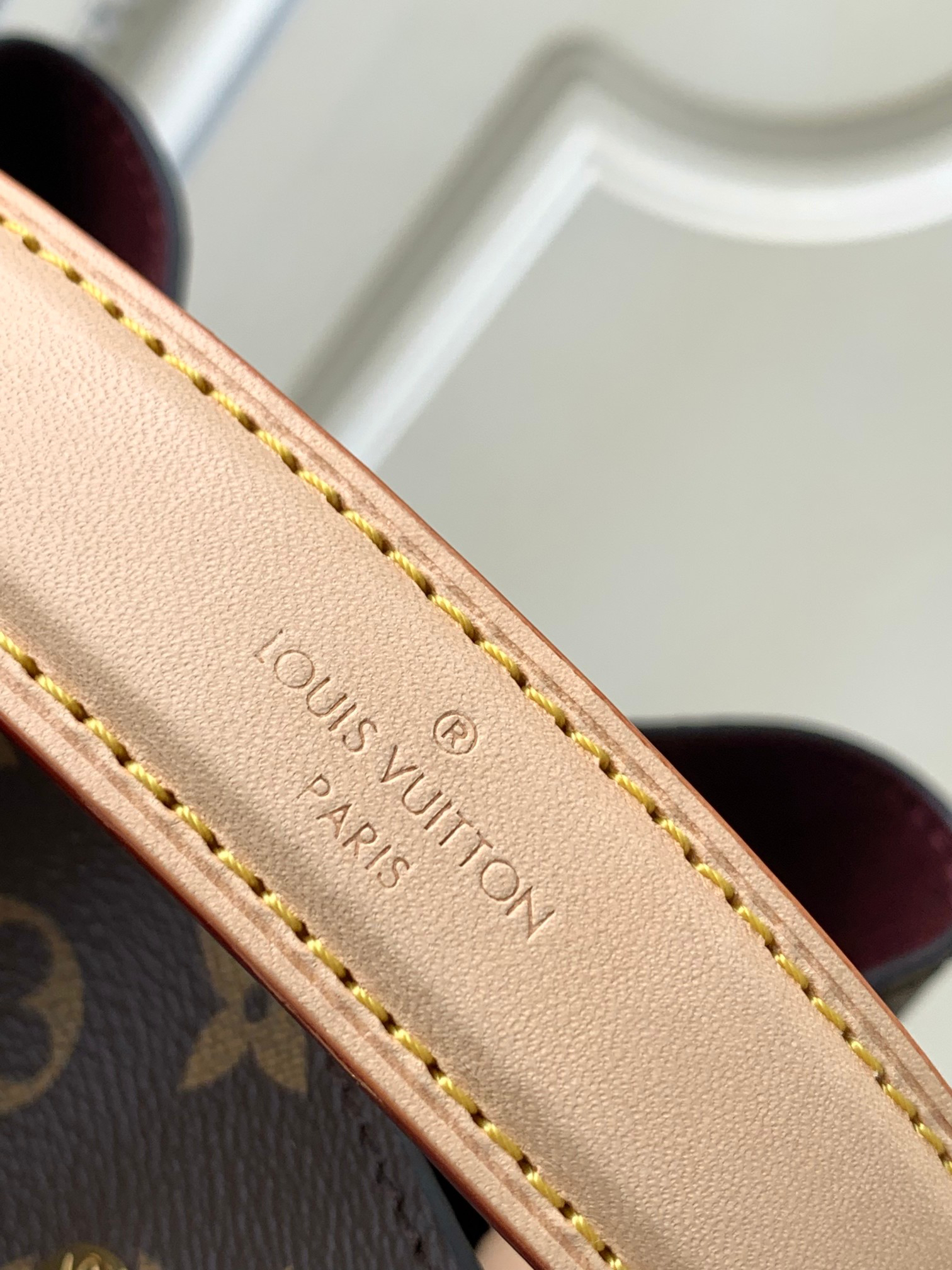 Louis Vuitton NéoNoé BB Monogram Canvas Bucket Bag - Image 7