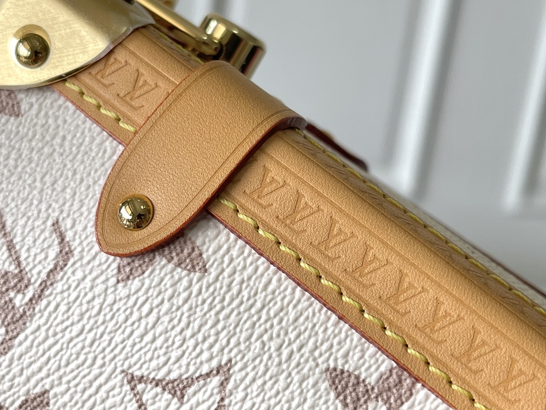 Louis Vuitton Side Trunk MM Handbag in Monogram Canvas - Image 7