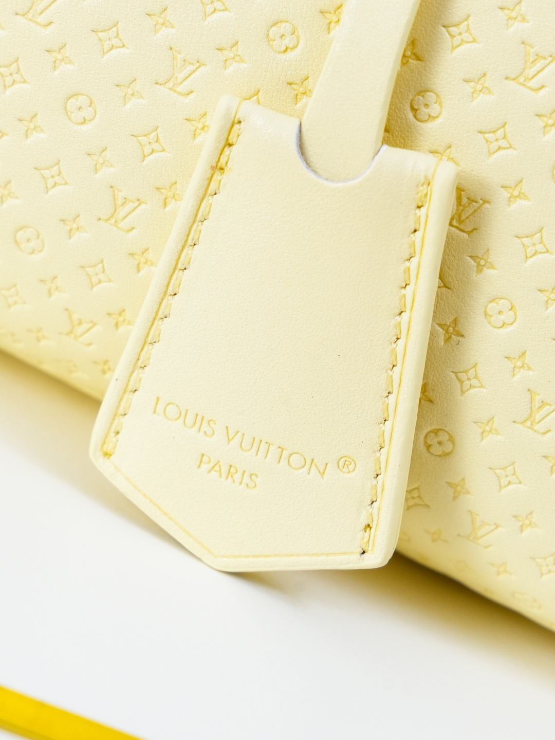 Speedy Bandoulière 20 Minigram Resort Handbag - Image 7